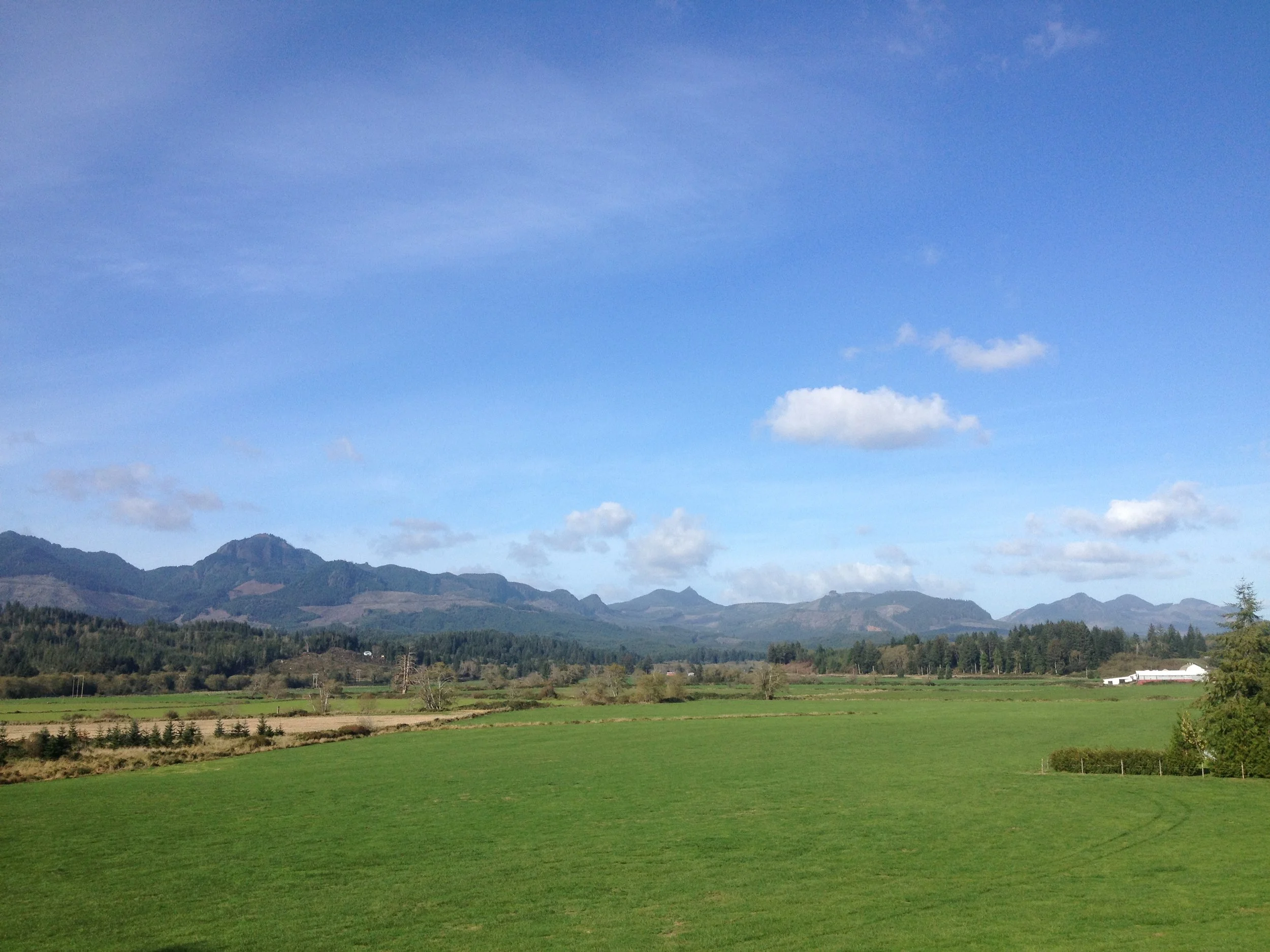 About — Viridian Architecture