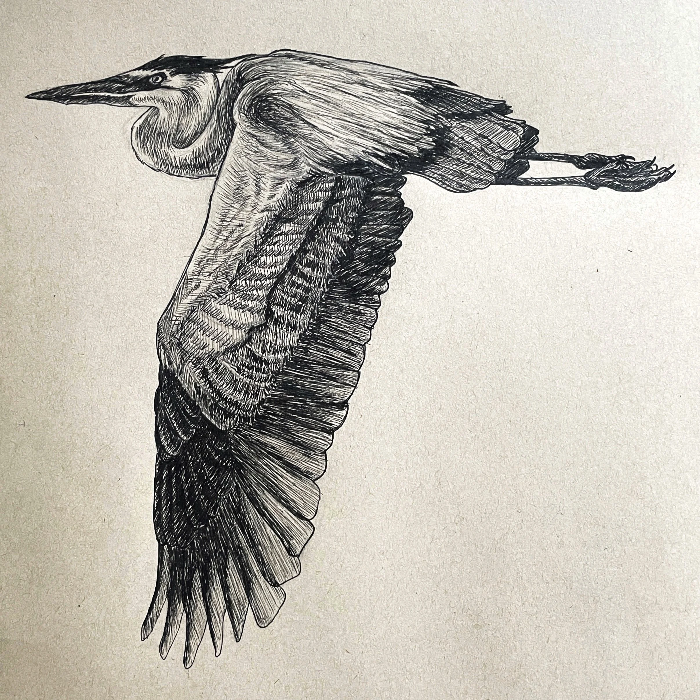 FullSizeRender 2.jpg