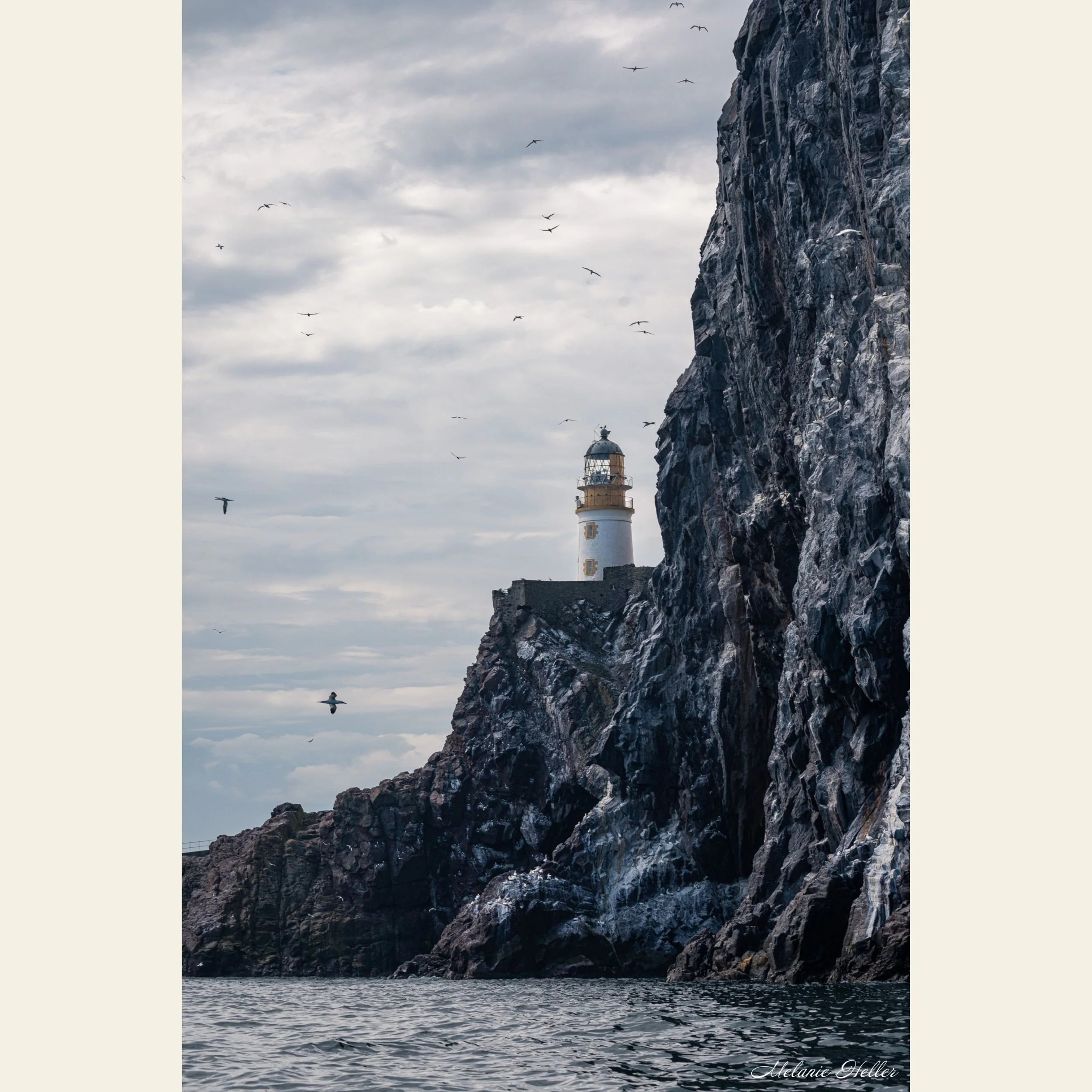 Bass Rock Lighthouse (Portrait), Fine Art Print