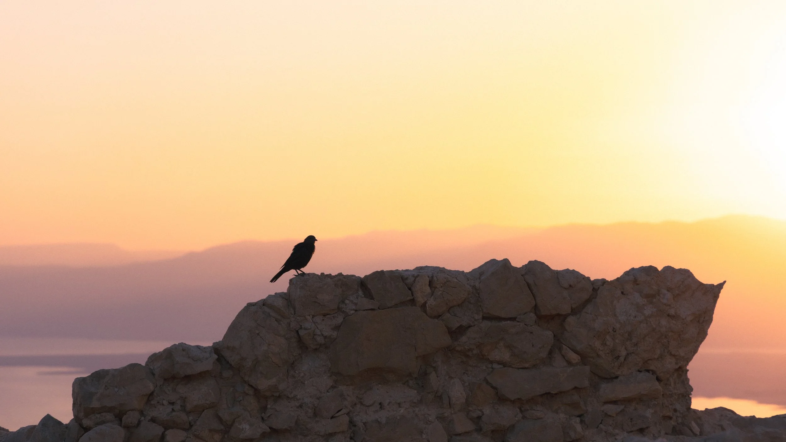 Masada, Israel, 2025