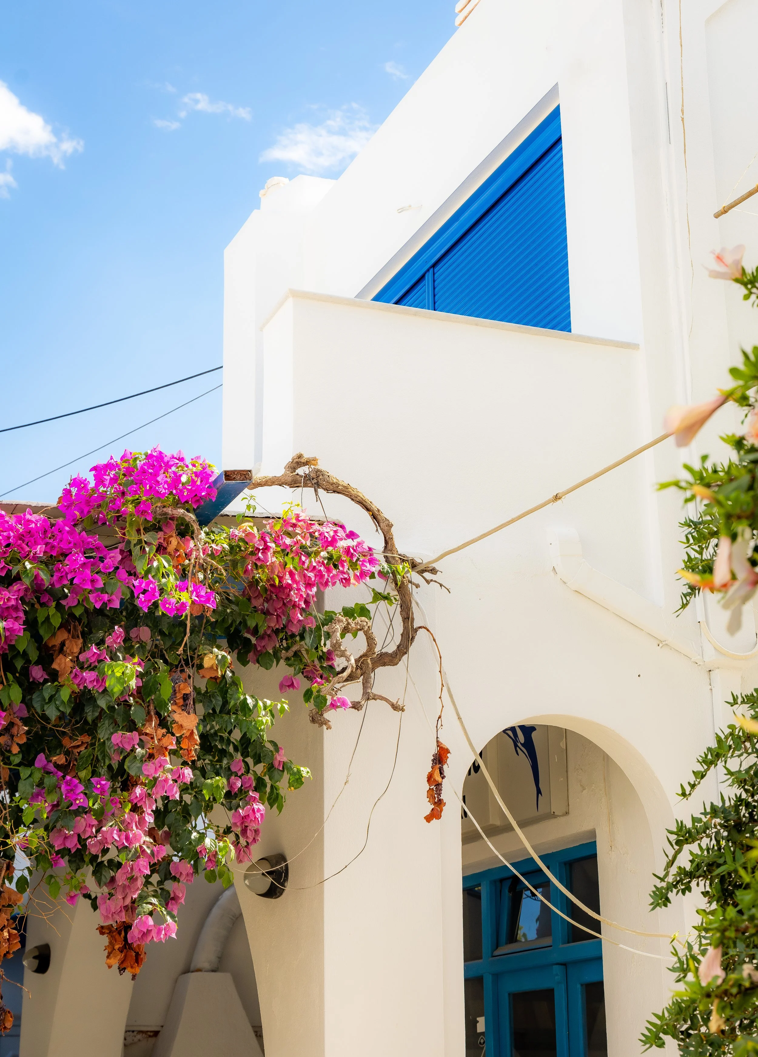 Apollonas, Naxos, Greece, 2024