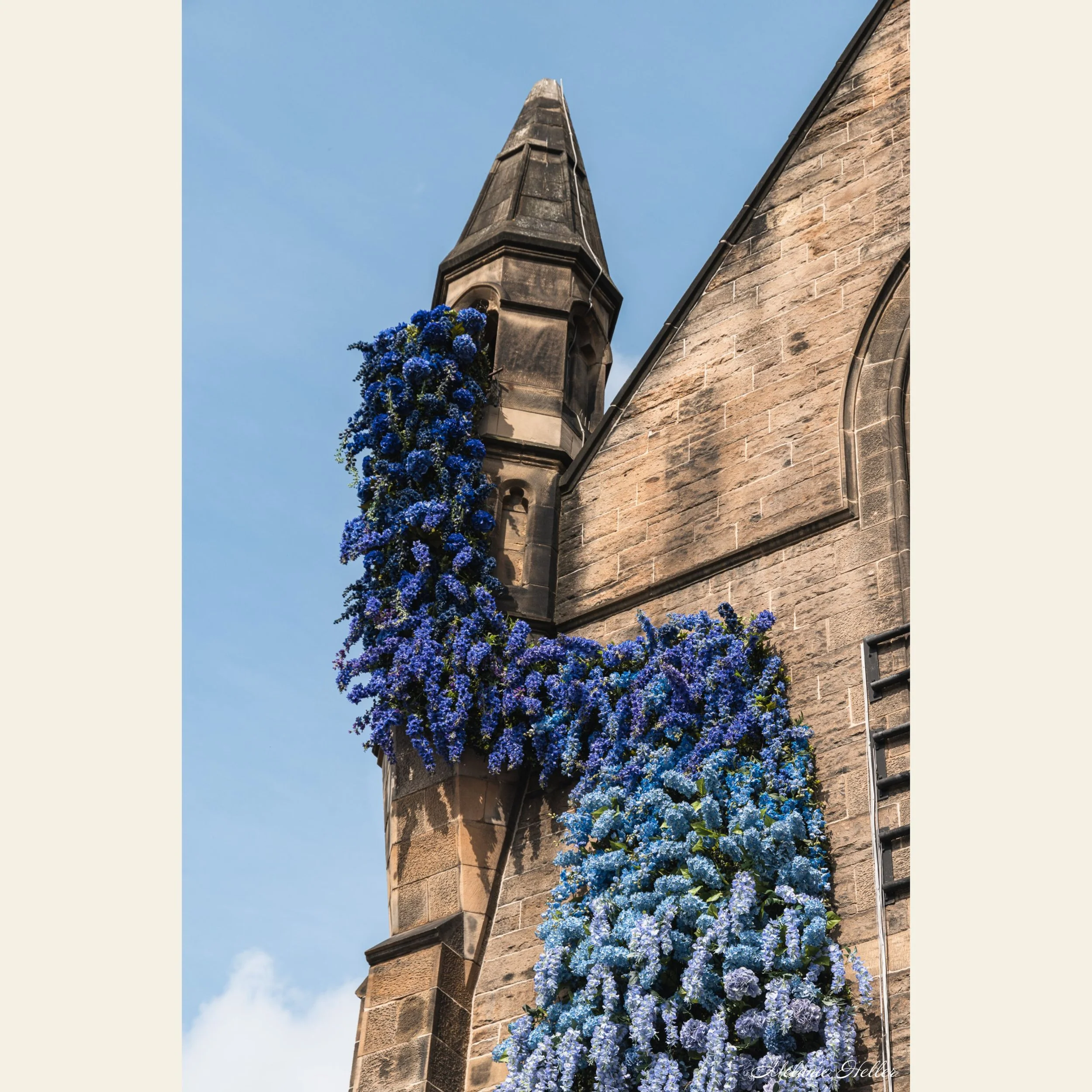 Hues of Blue, Fine Art Print