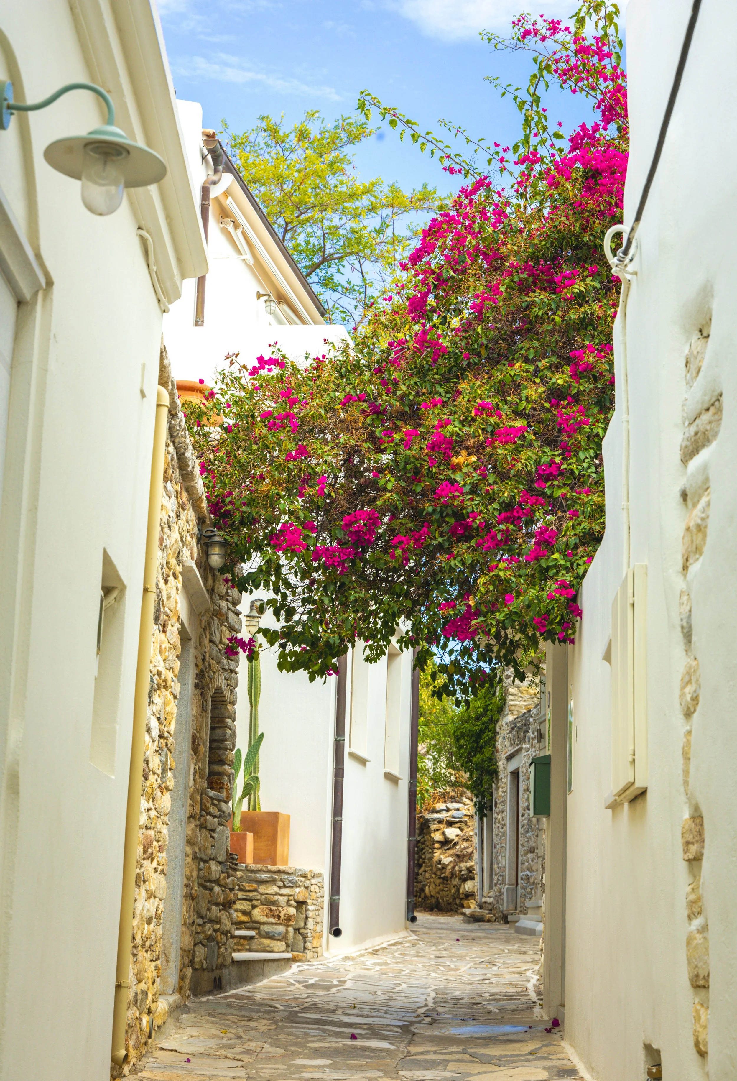 Halki, Naxos, Greece, 2024