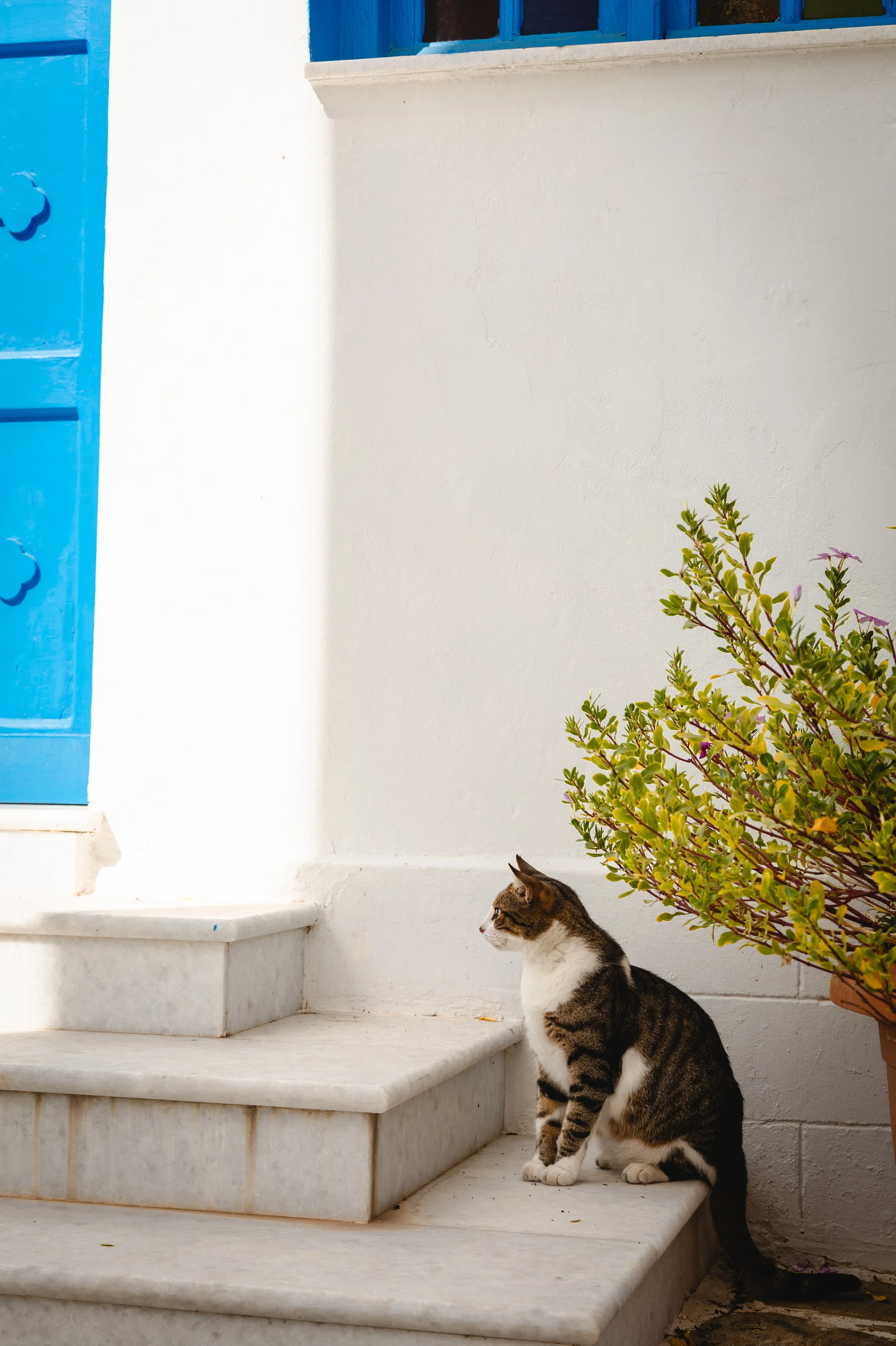 Apollonas, Naxos, Greece, 2024