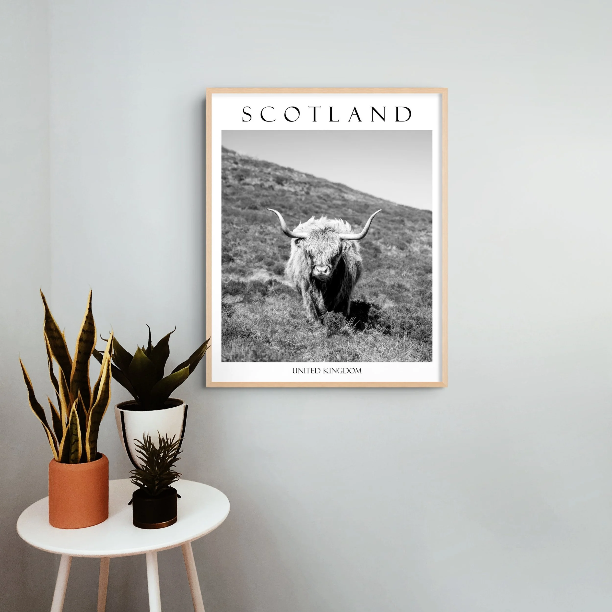 scotland 1-full.jpg