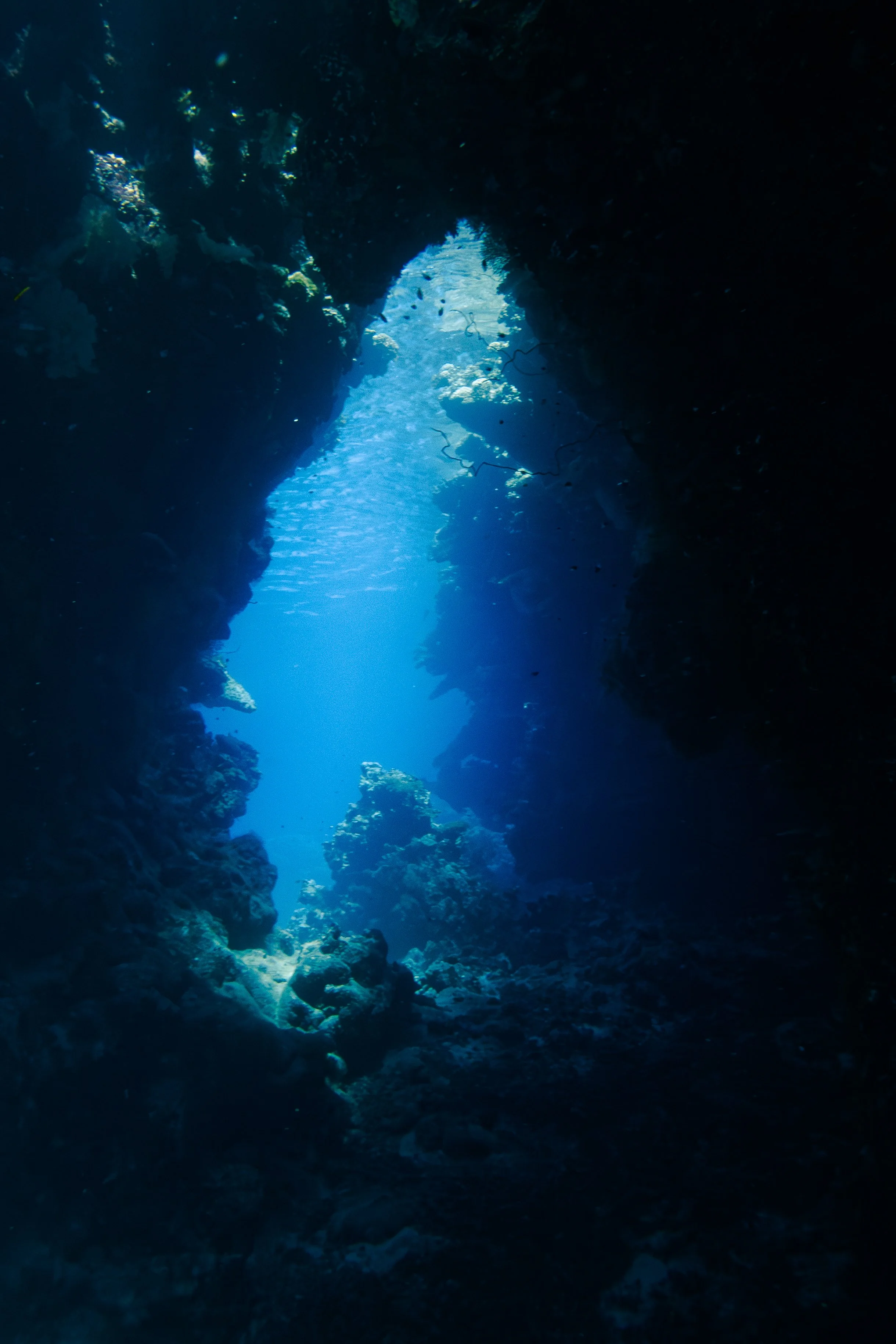 St. John's Caves, Red Sea, 2025