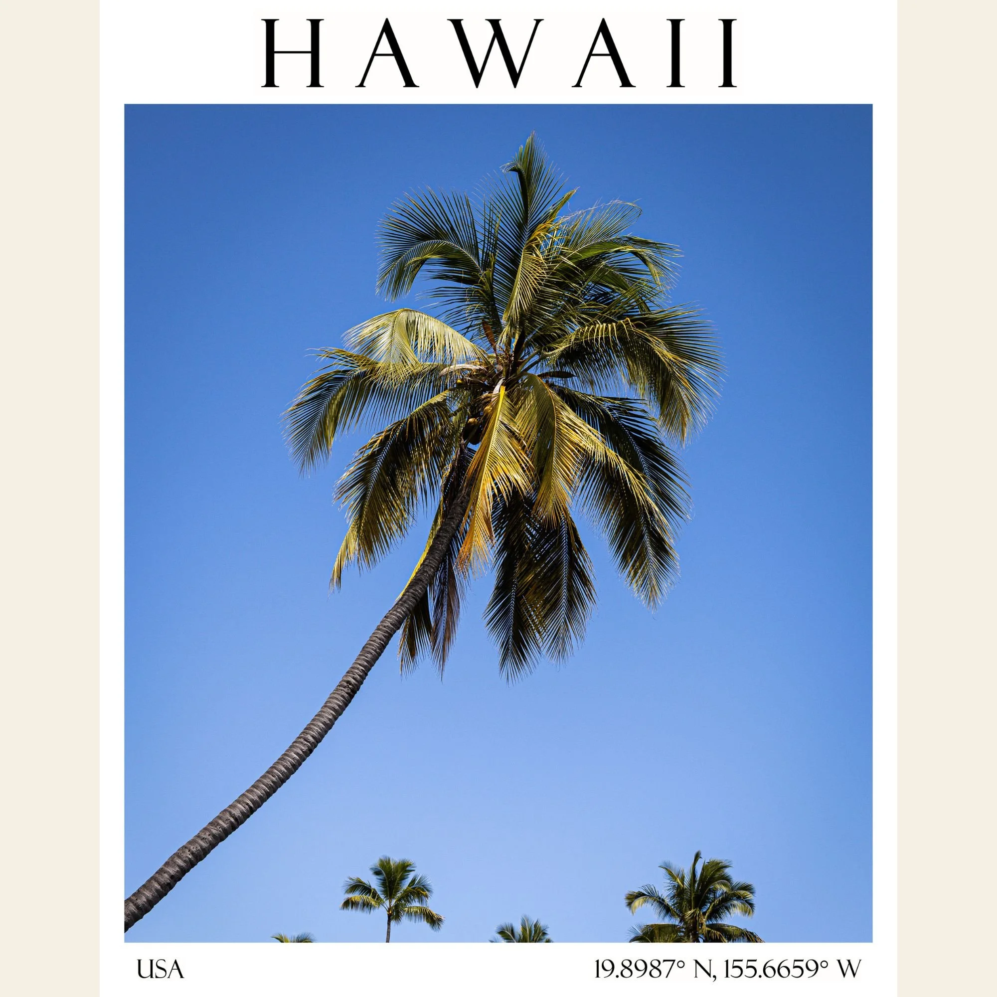 Hawaii 1, Travel Poster