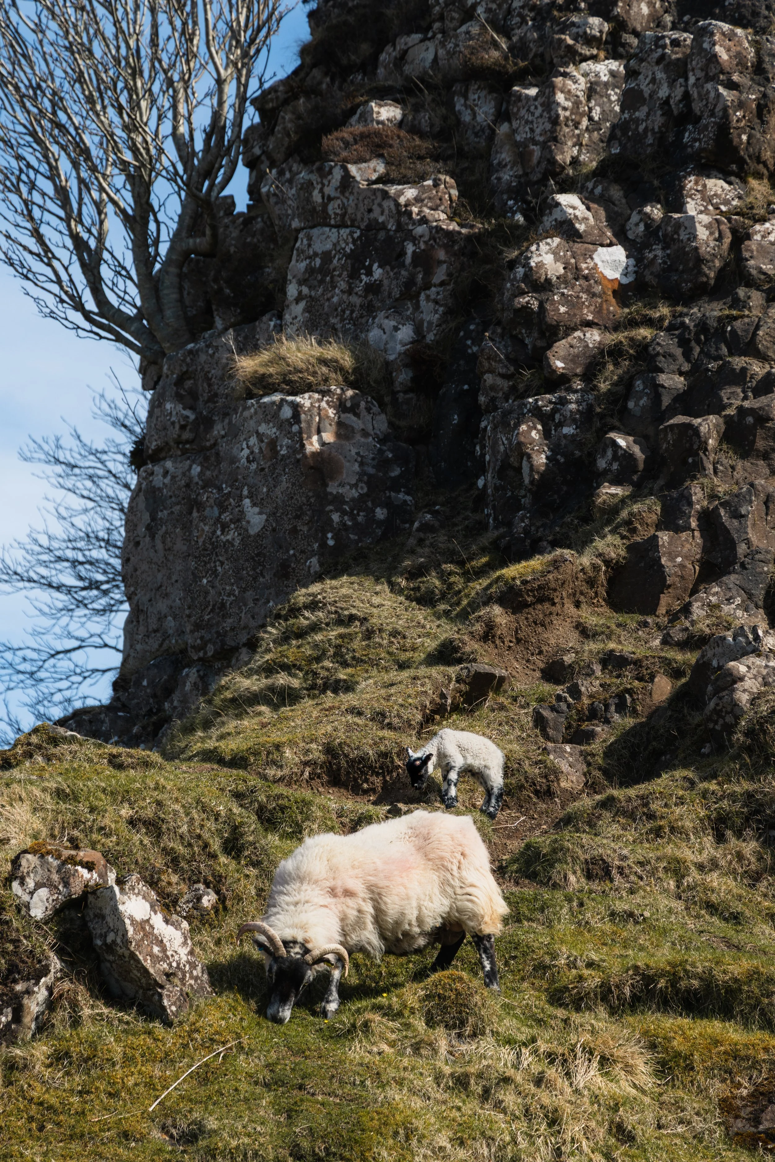 Fairy Glen, Isle of Skye, Scotland, 2026