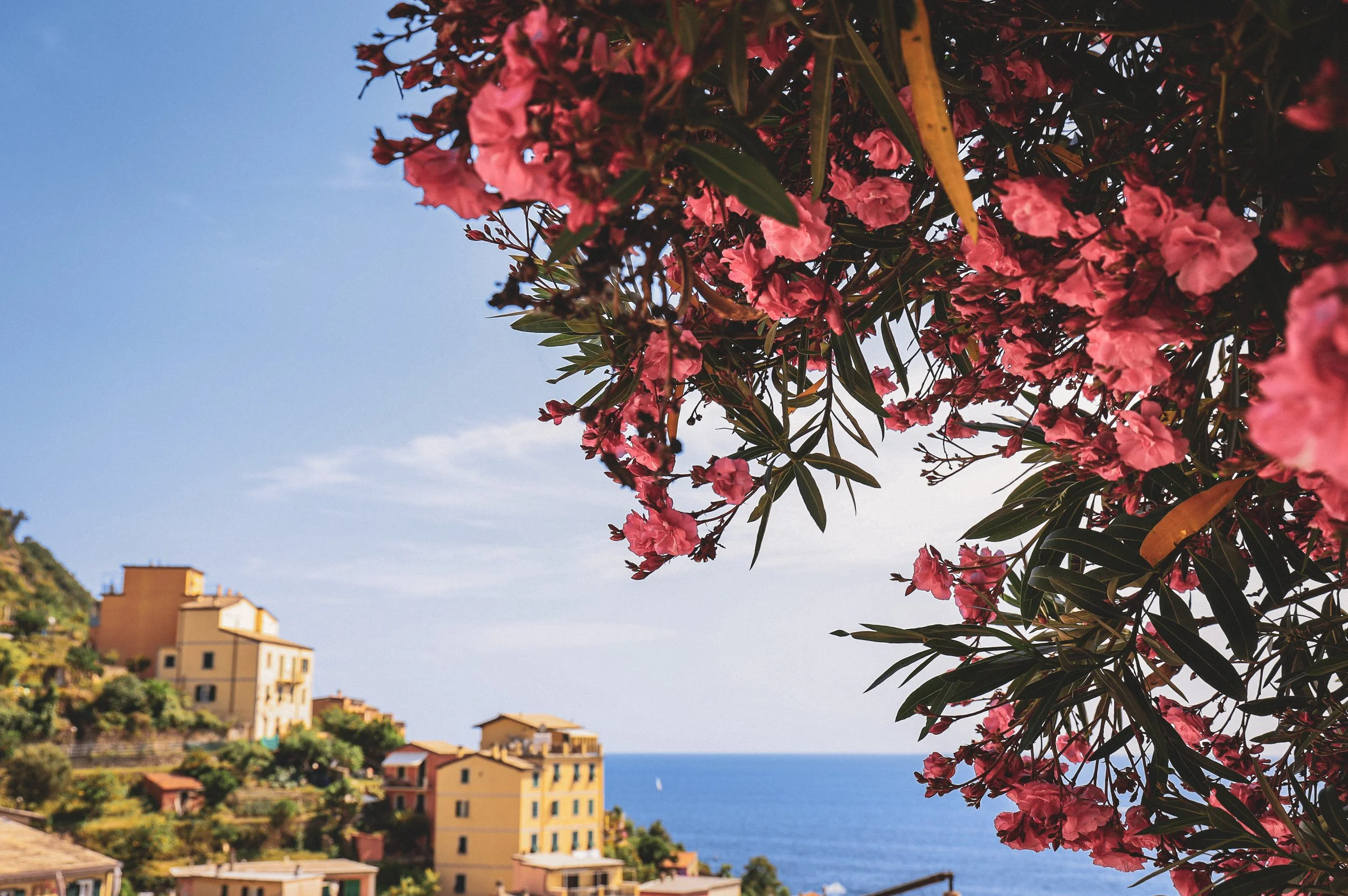 Vernazza, Cinque Terre, Italy, 2023
