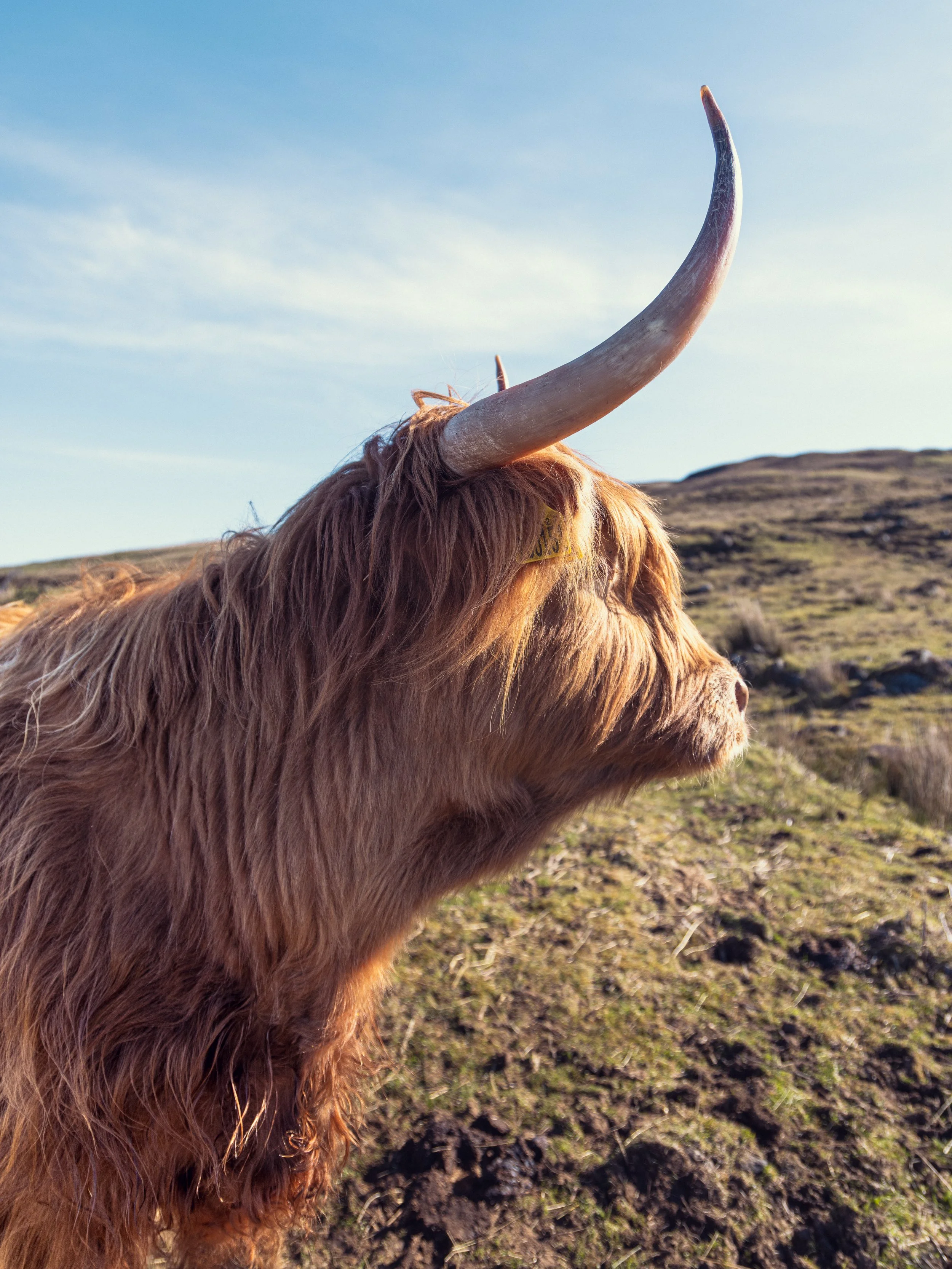 Portree, Isle of Skye, Scotland, 2026