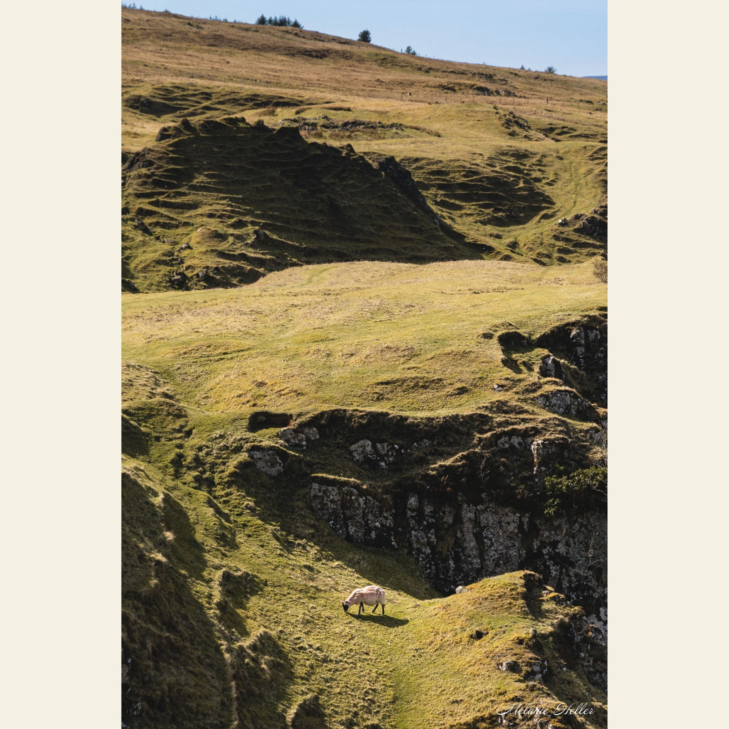 Faerie Glen, Fine Art Print