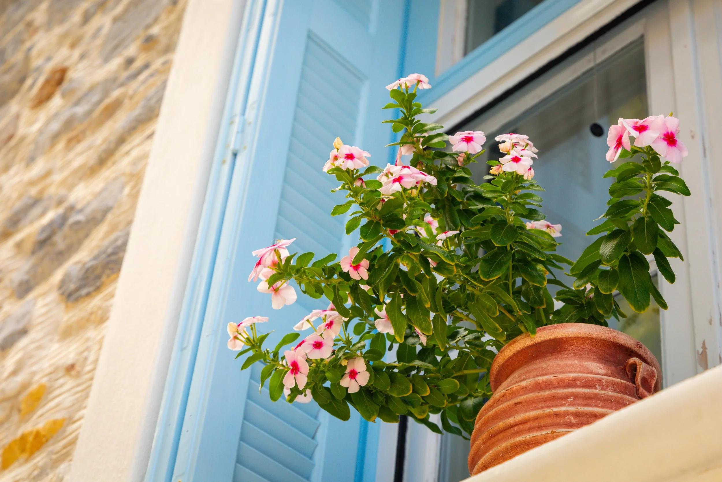 Halki, Naxos, Greece, 2024