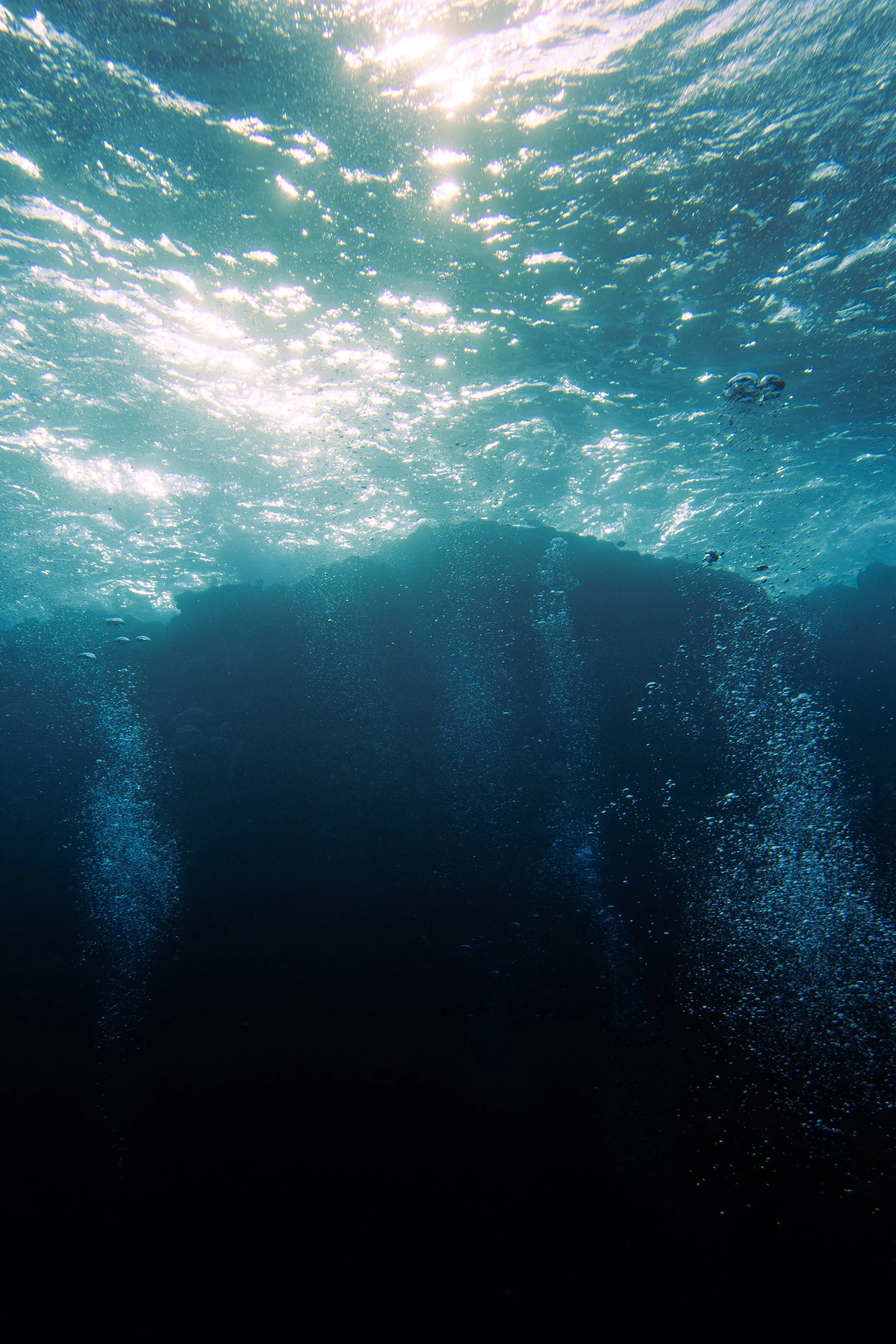 St. John's, Red Sea, 2025