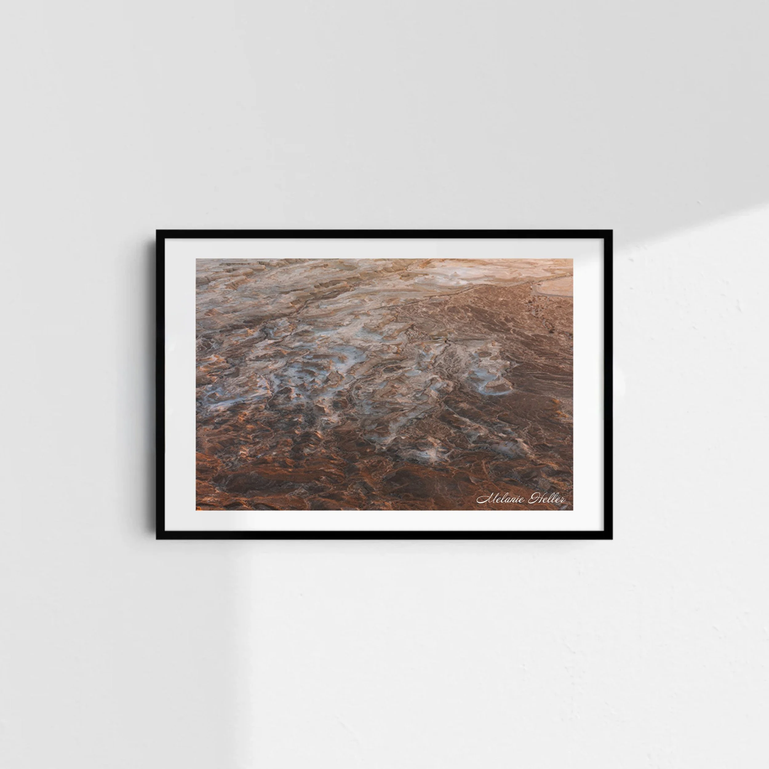 Untitled design (24).jpg