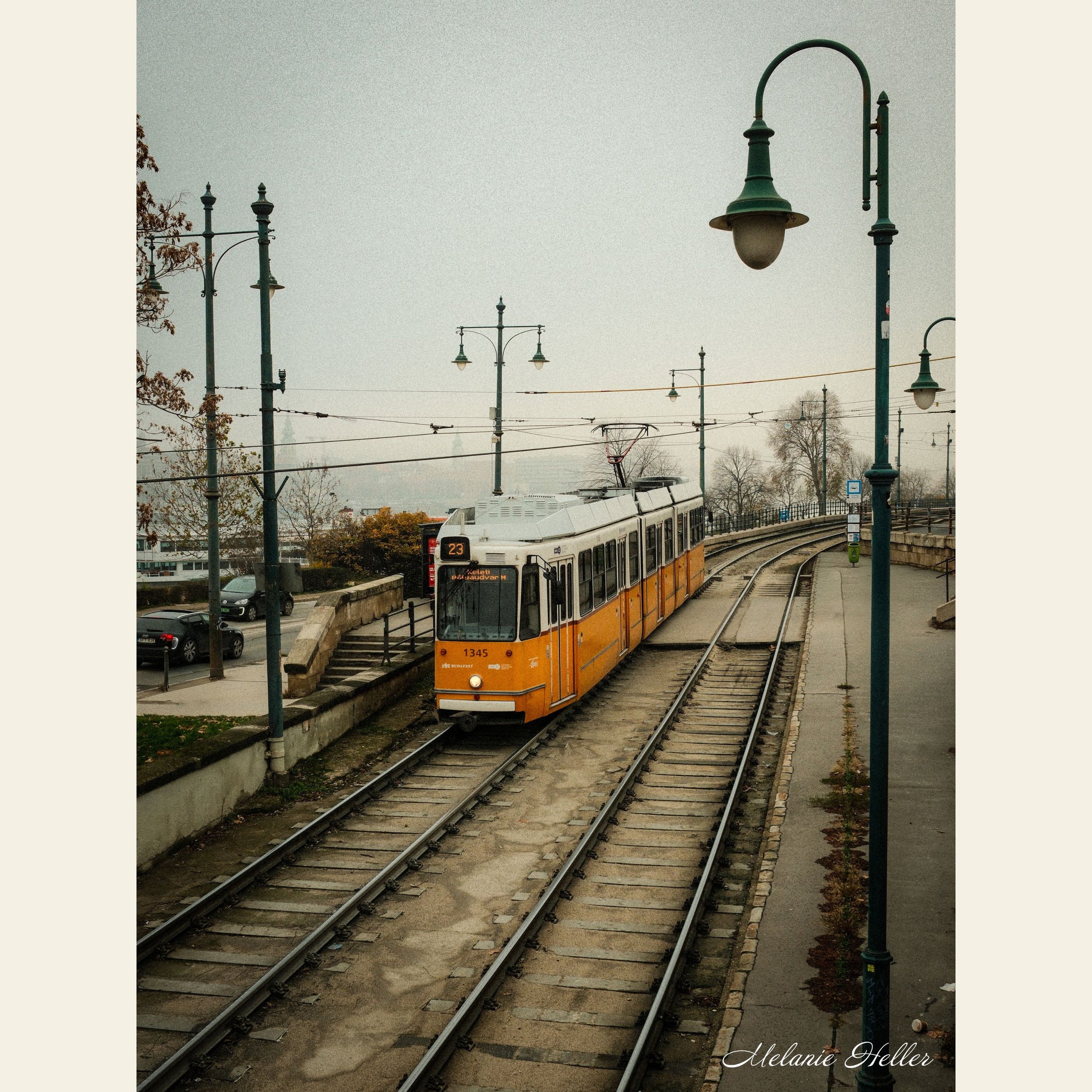 The Yellow Line, Fine Art Print