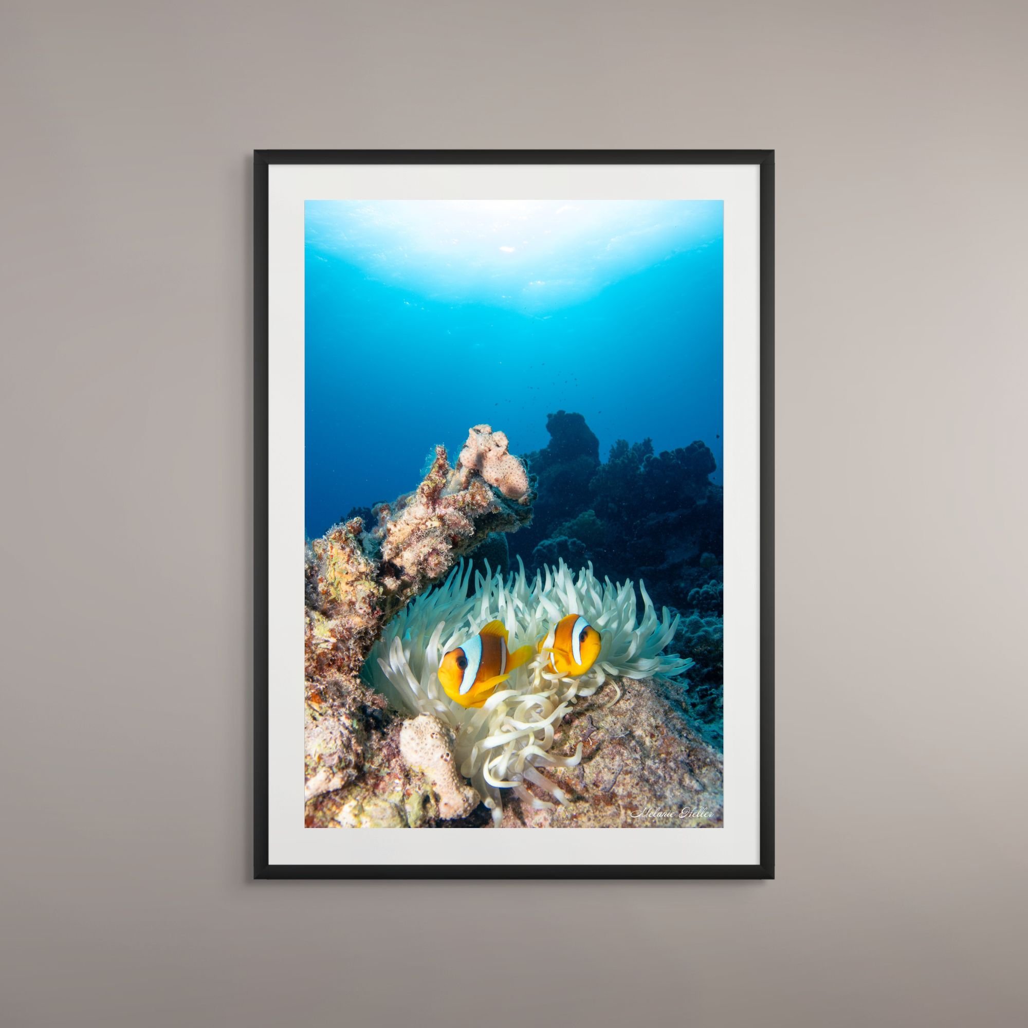 marlin and wife 1.jpg