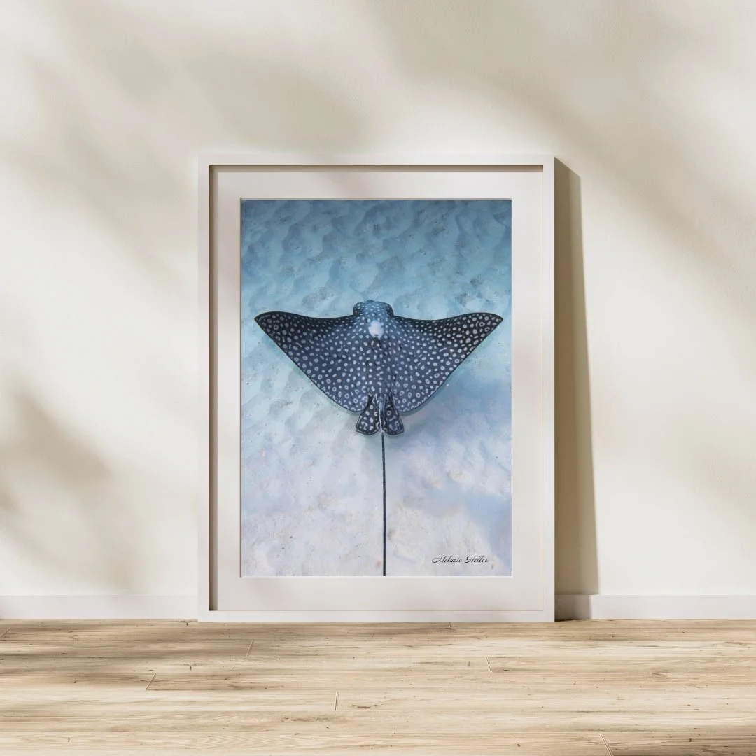 Aesthetic Photo Frame Mockup Instagram Post.jpg