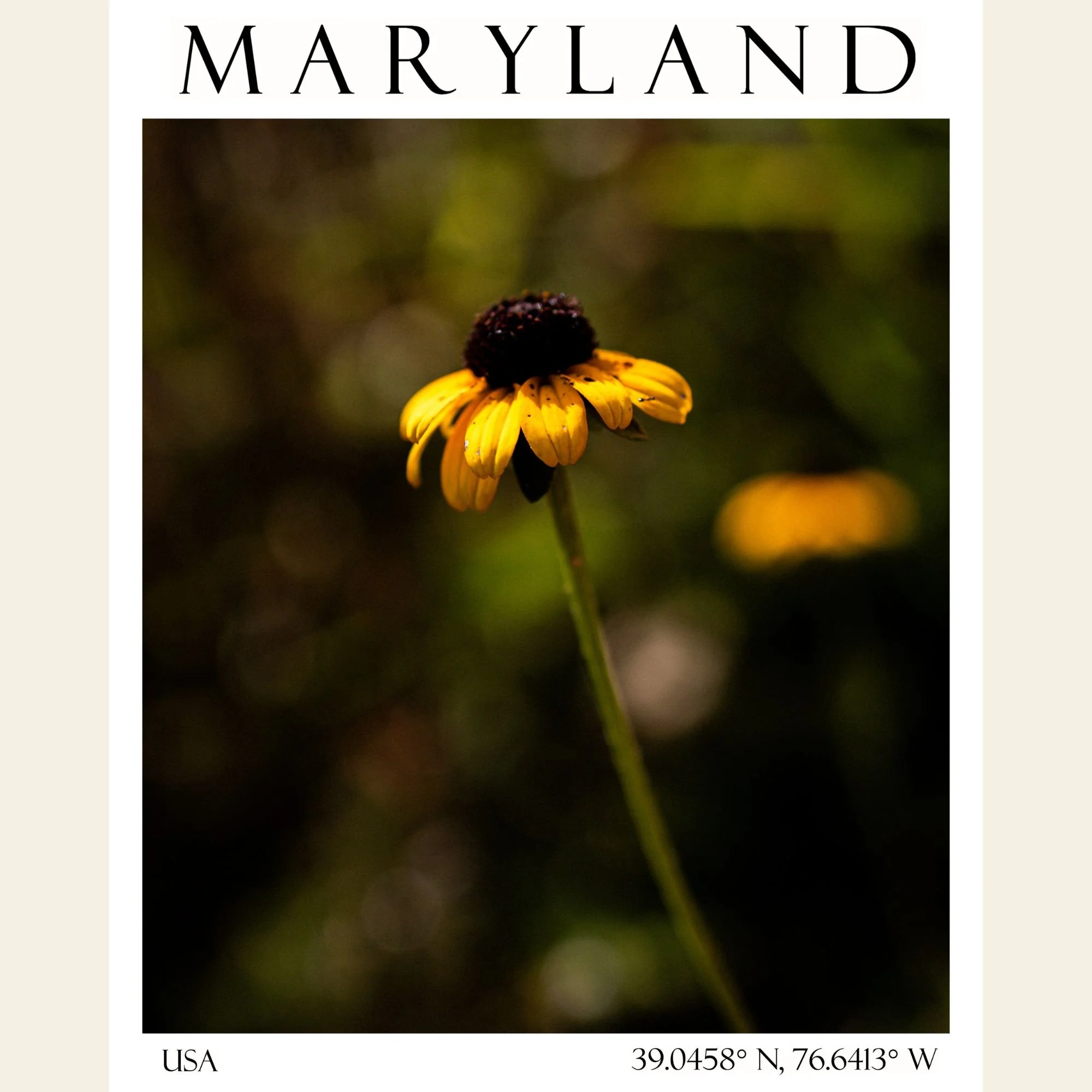 Maryland, Travel Poster