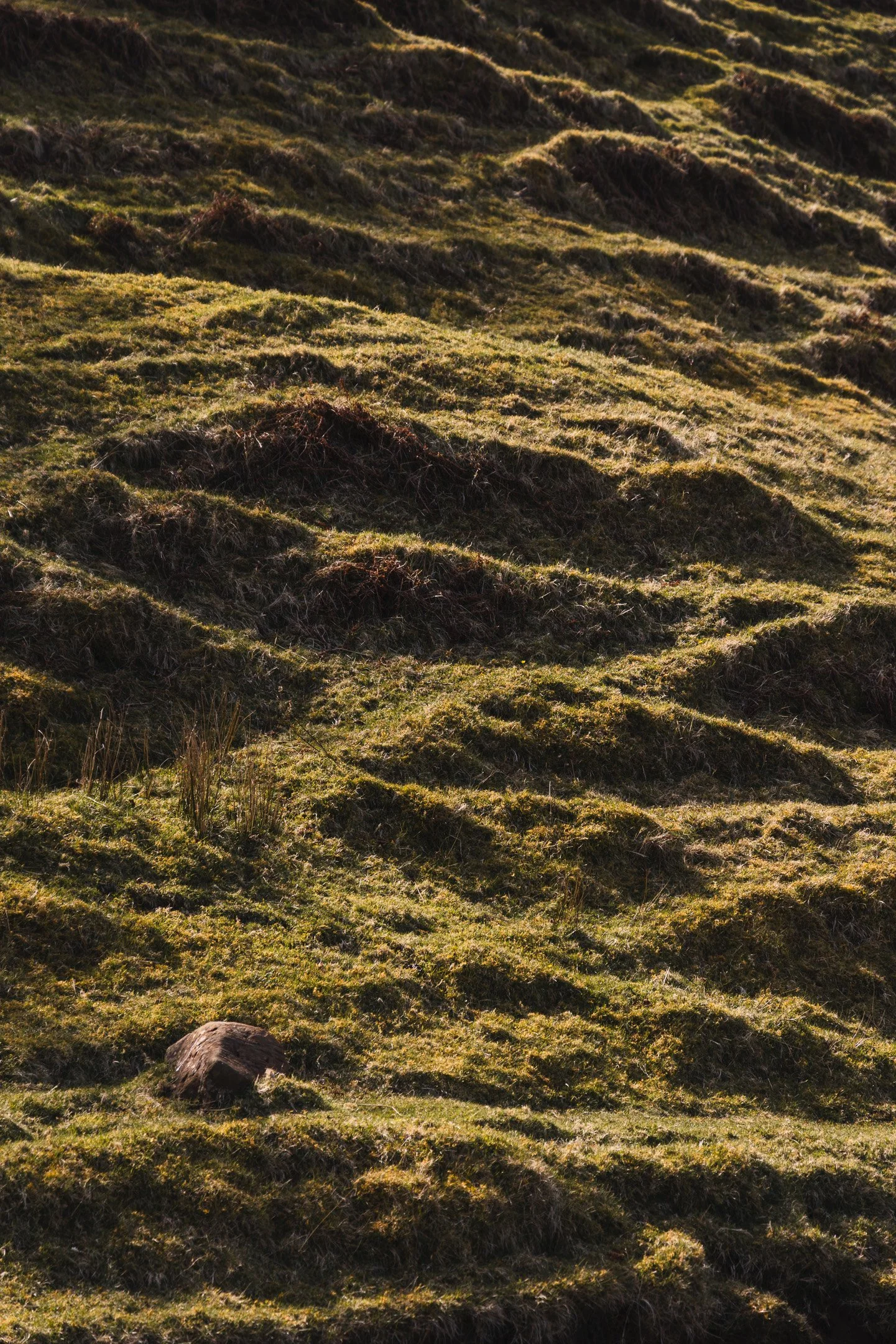 Fairy Glen, Isle of Skye, Scotland, 2026