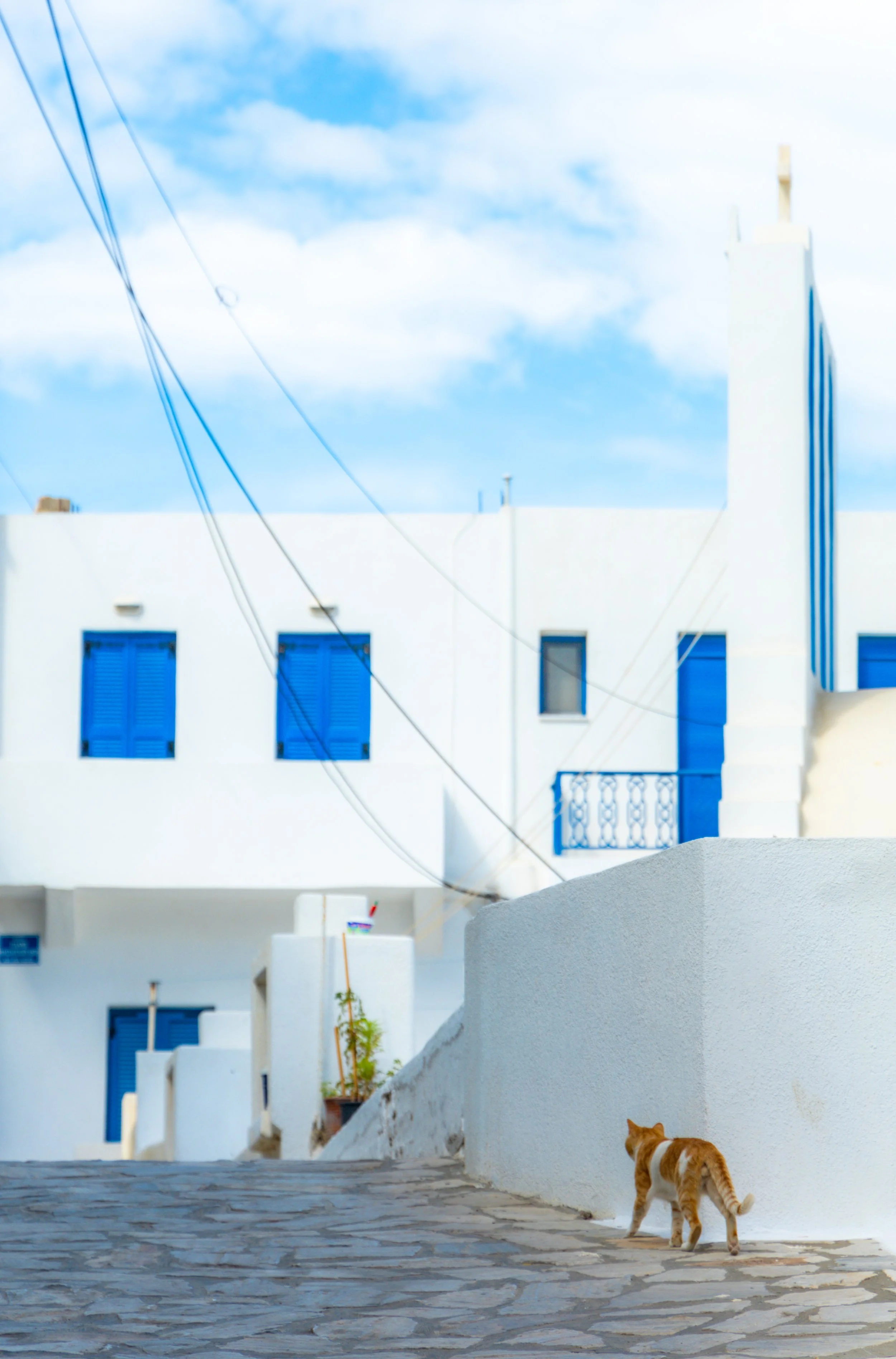 Apollonas, Naxos, Greece, 2024