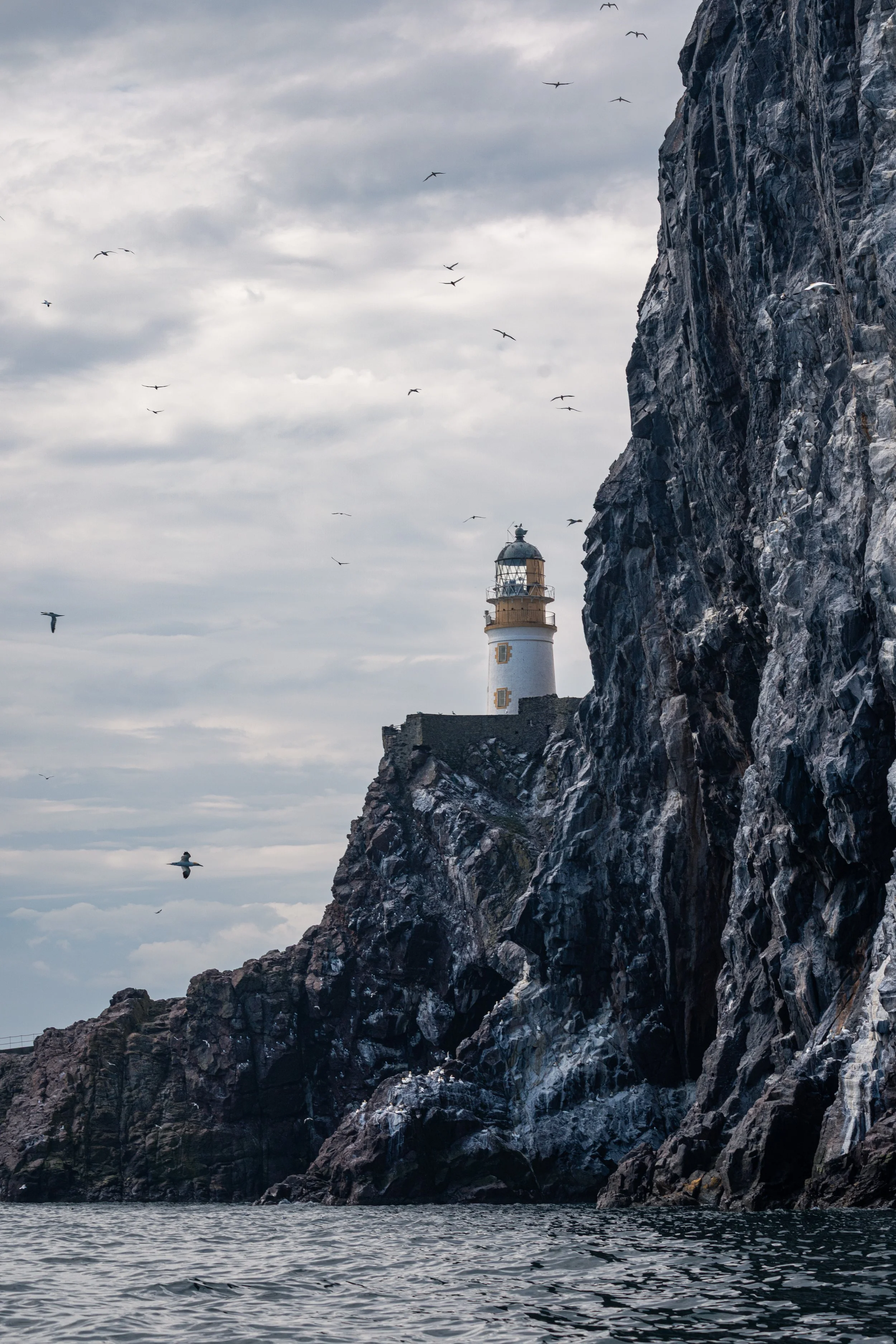 Bass Rock, North Berwick, Scotland, 2026