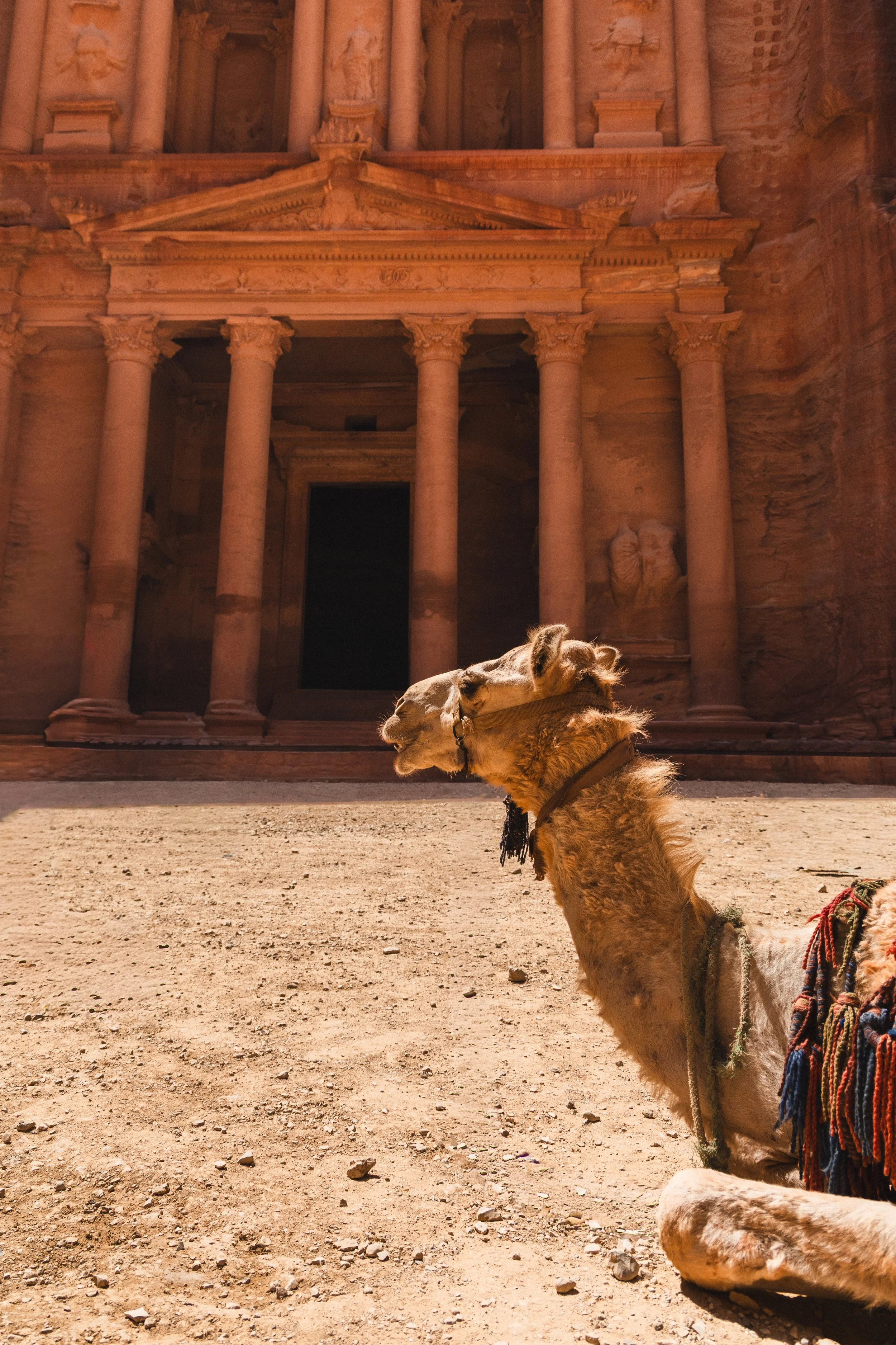 Petra, Jordan, 2025