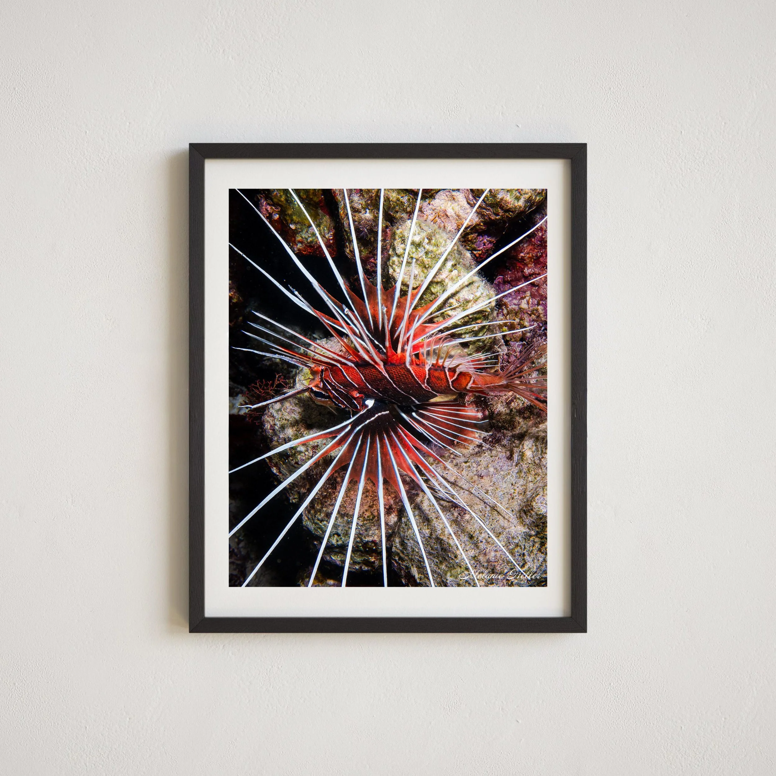 Untitled design (11).jpg