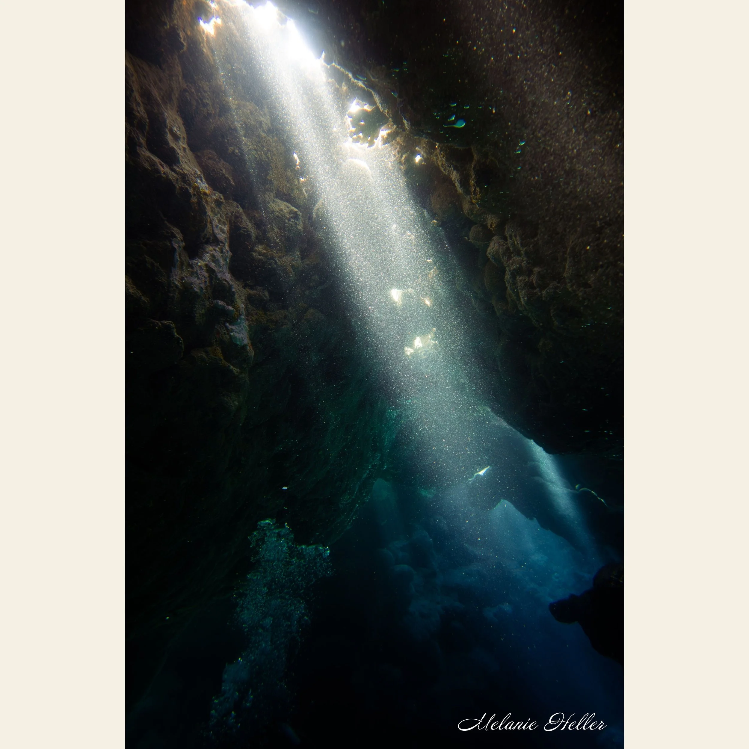 Untitled design (9).jpg