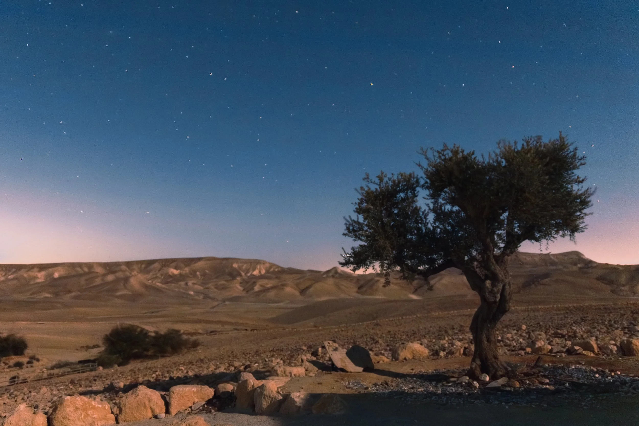 Negev Desert, Israel, 2025