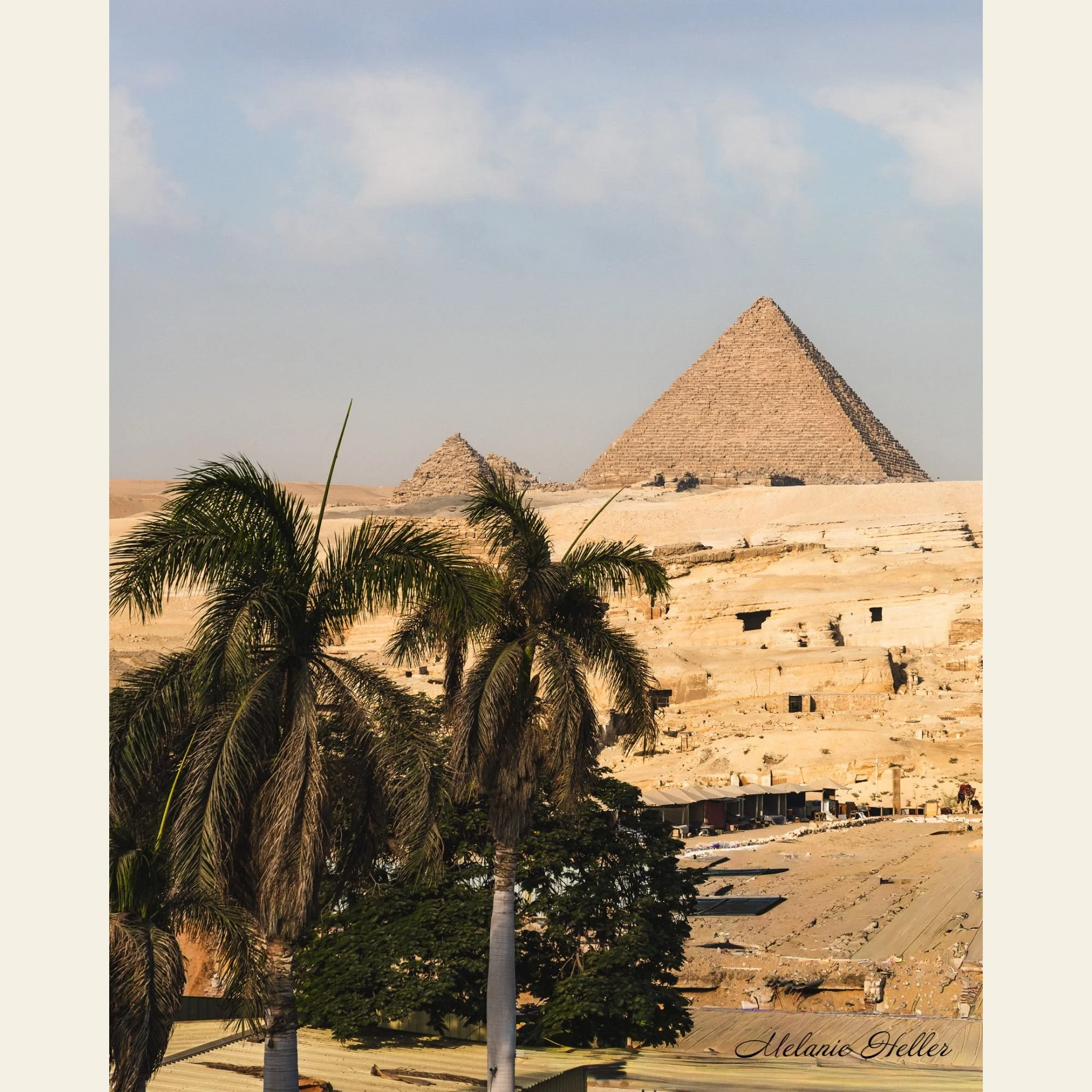 pyramids and palm 2.jpg