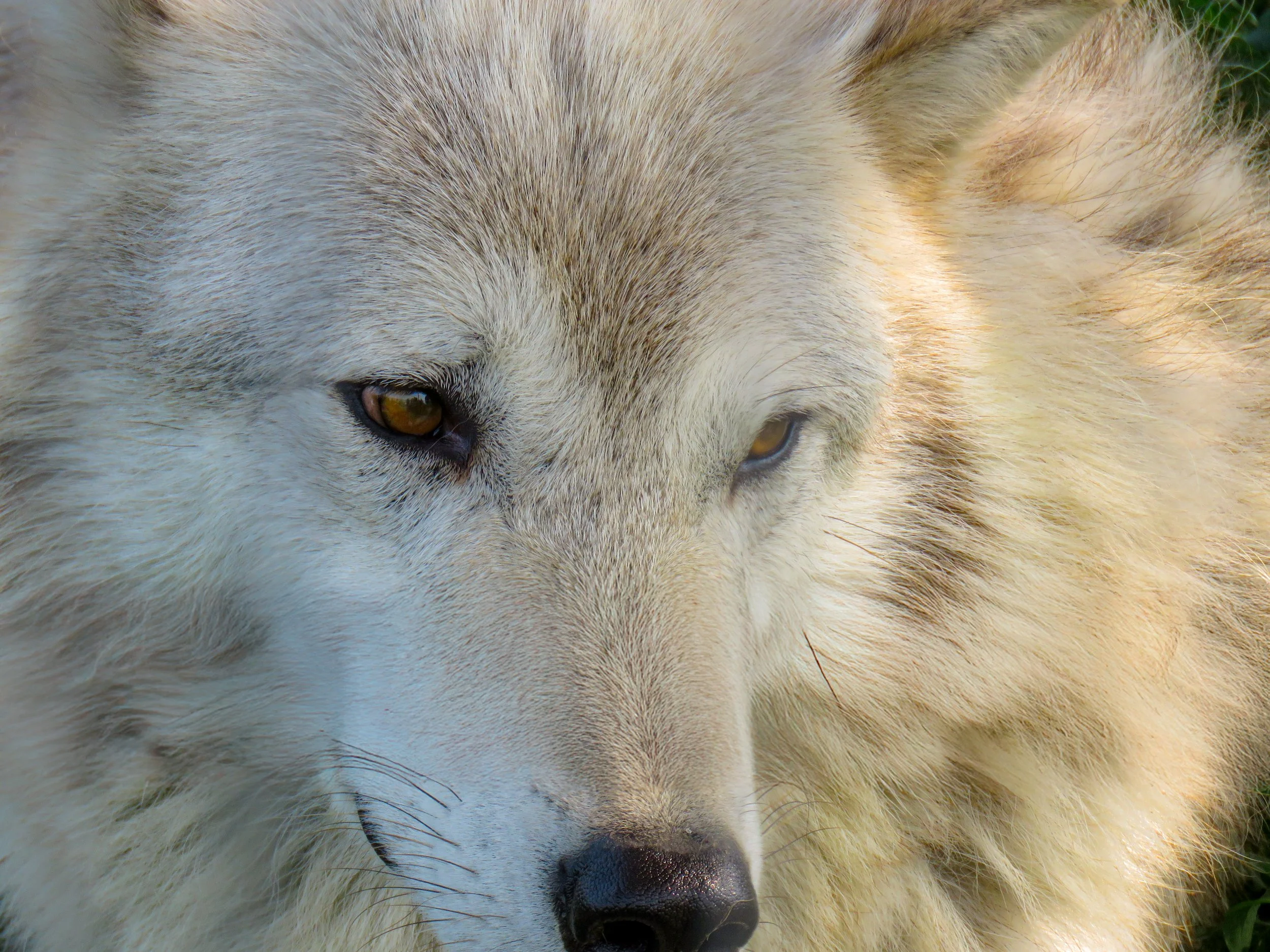 Girdwood, Alaska, 2019