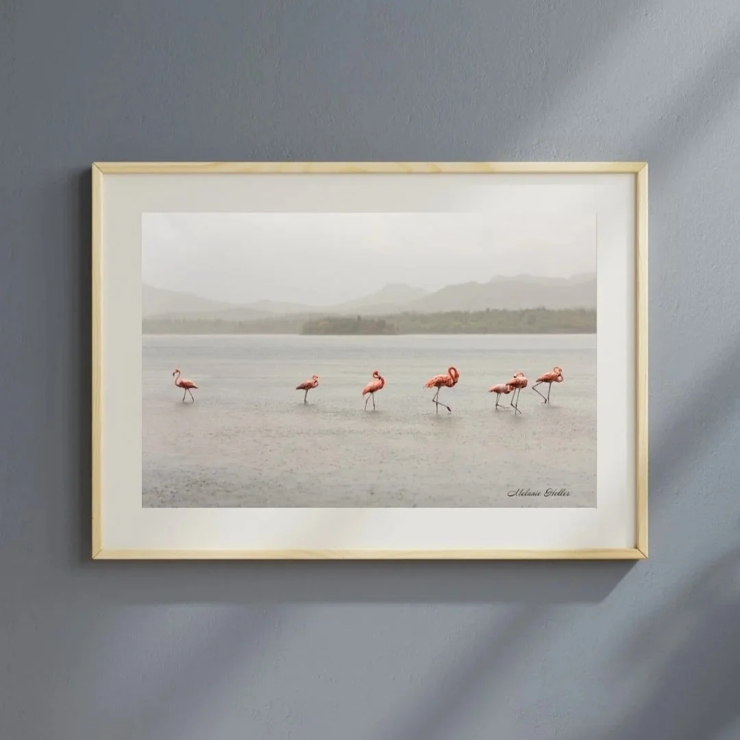 White+and+Gray+Minimalist+Photo+Frame+Mockup+Instagram+Post.jpg