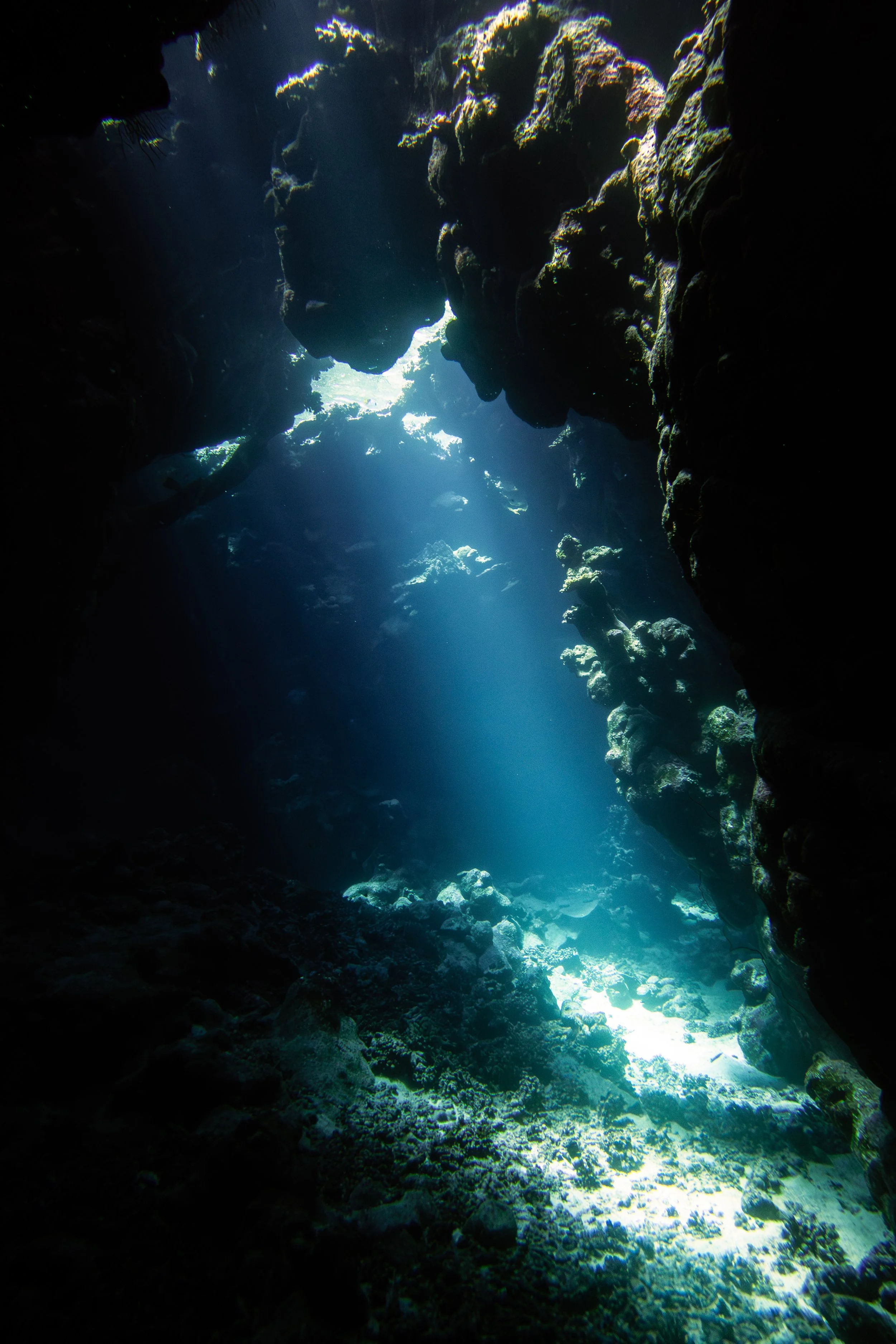 St. John's Caves, Red Sea, 2025