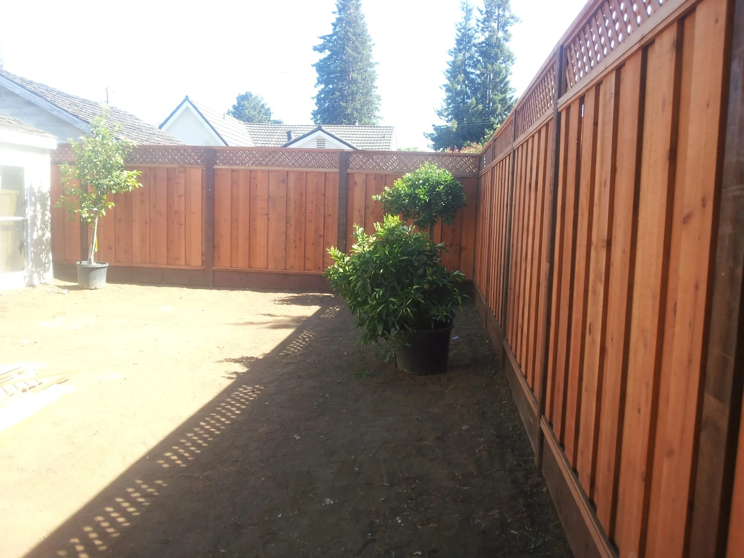 fence3.jpeg