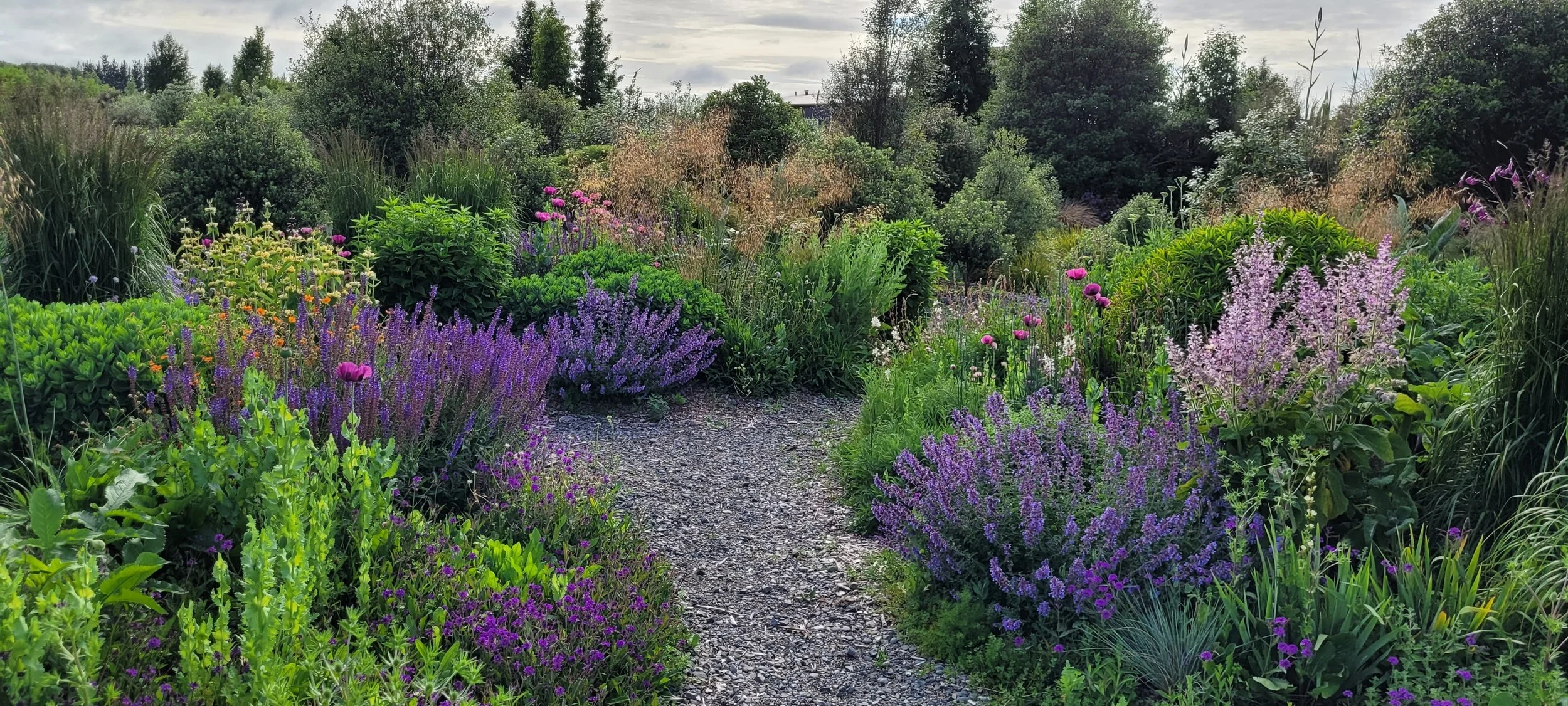 Circle Garden with the soft purples of Spring 2023.jpg