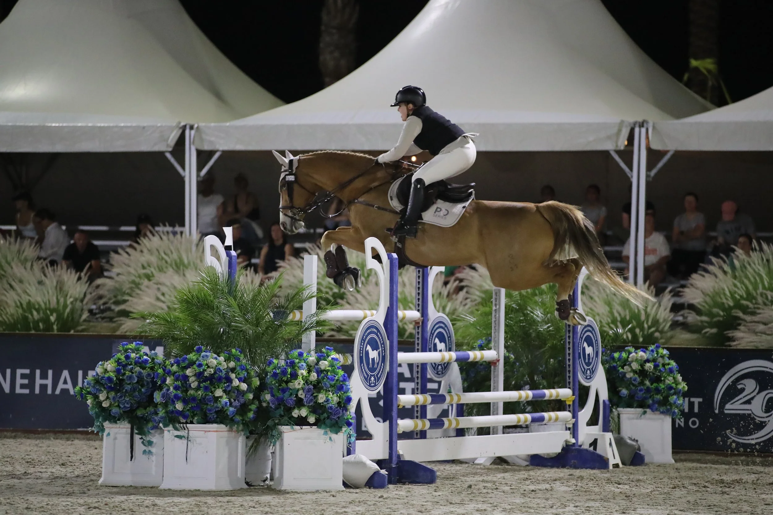 What to Look for in an A-Circuit Hunter Jumper Barn in Las Vegas
