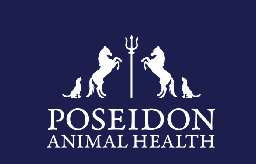 Poseidon Animal health sponsored rider gut health stress paste Grand Prix rider Las Vegas Nevada