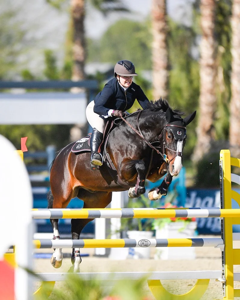 Hunter jumper training Las Vegas