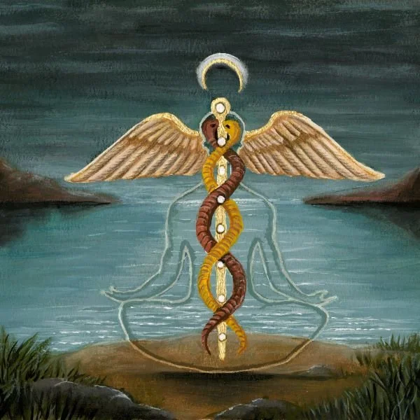 The Medicine Is in the Body, Not the Mind: What Healed When I Finally Listened