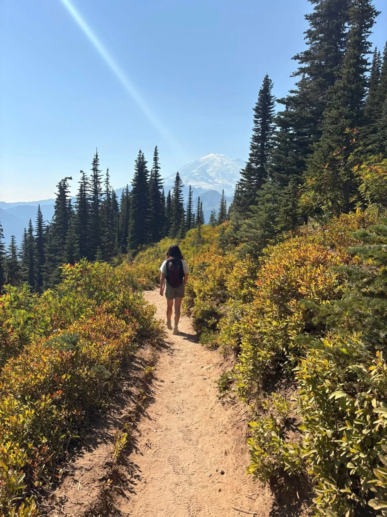 Hiker on trail near Mt. Ranier