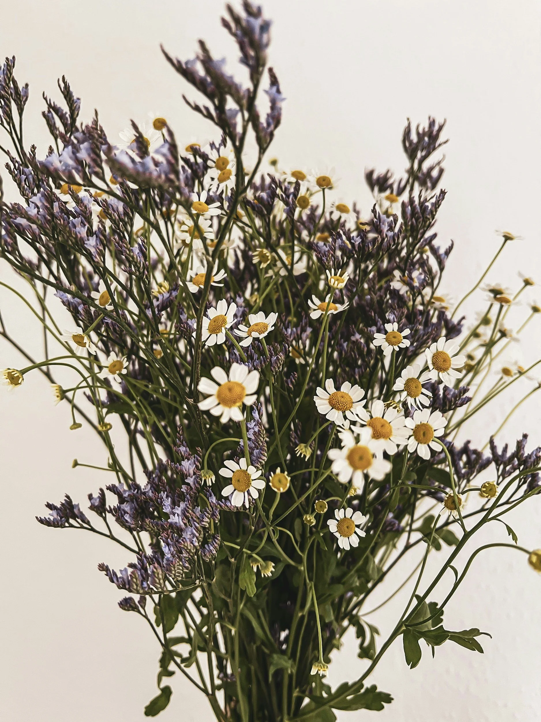 Chamomile and Lavender Tea