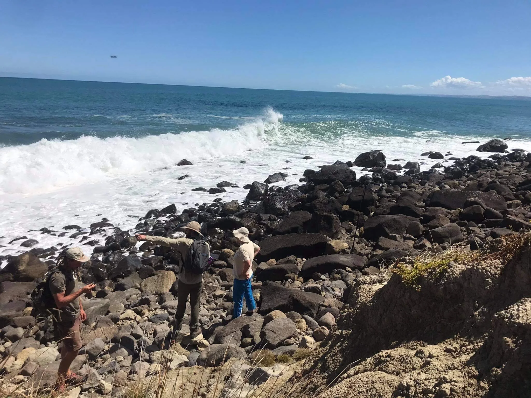 raglan geologist.jpg