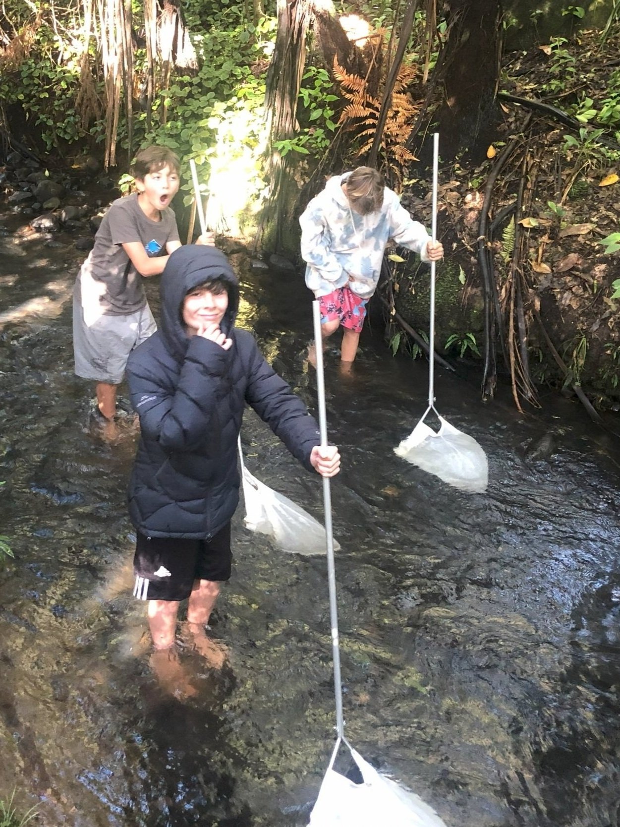 stream%2Beducation%2BWaikato.jpg