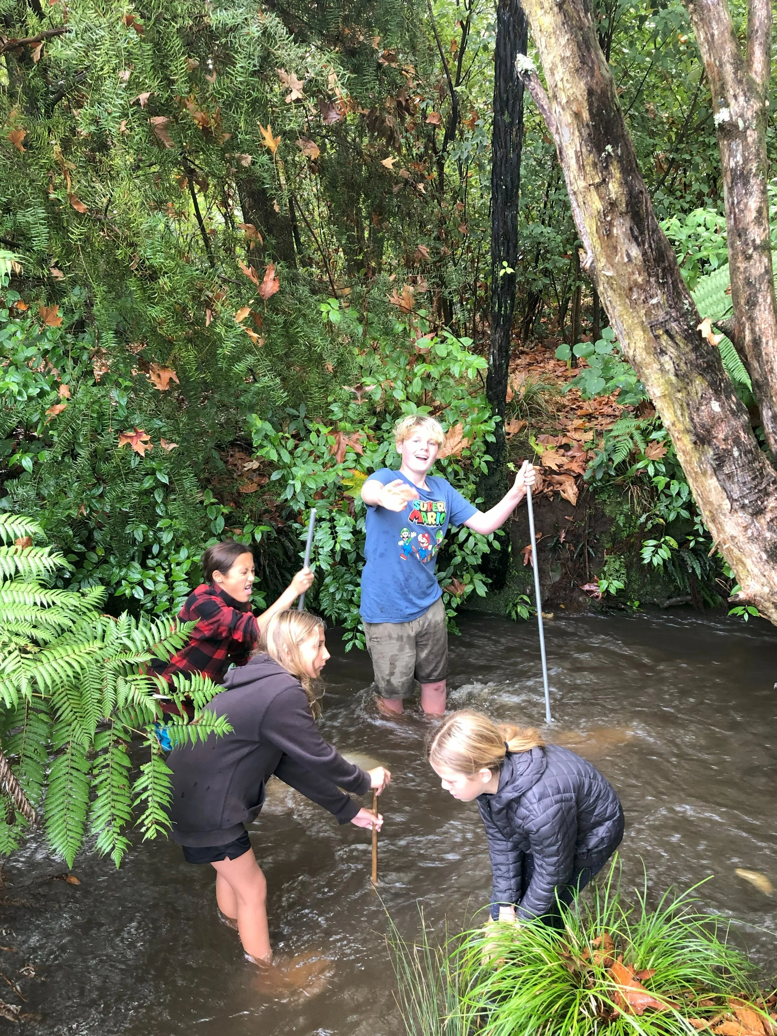 exploring waitī streams.jpg