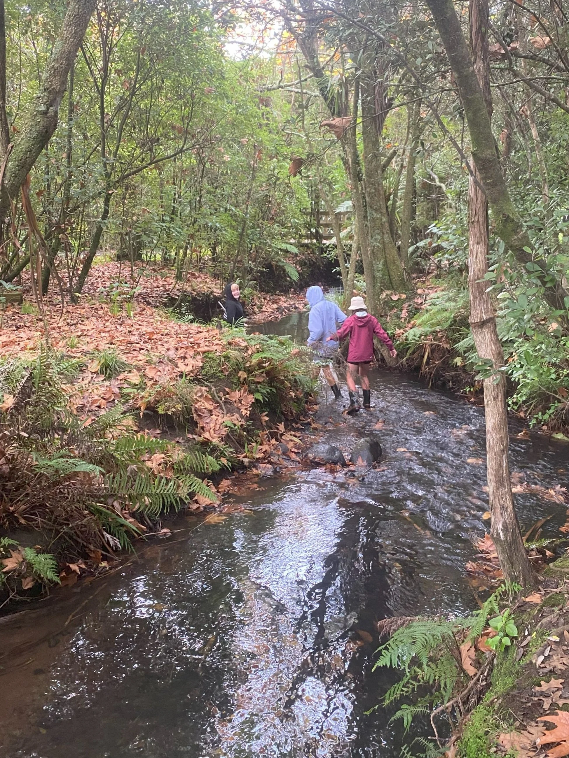 outdoor+education+Waikato.jpg