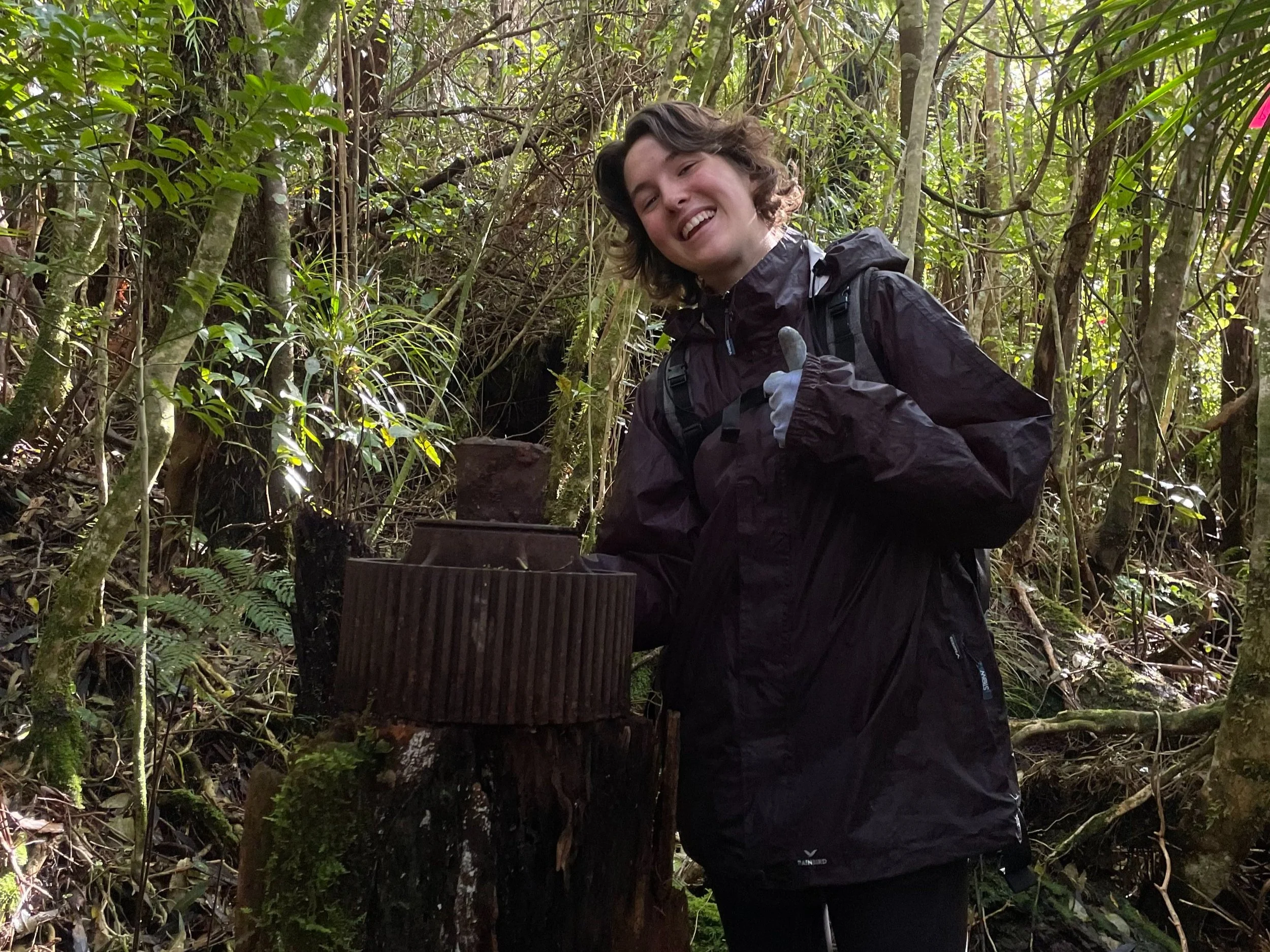 Summer+on+the+maunga.jpg