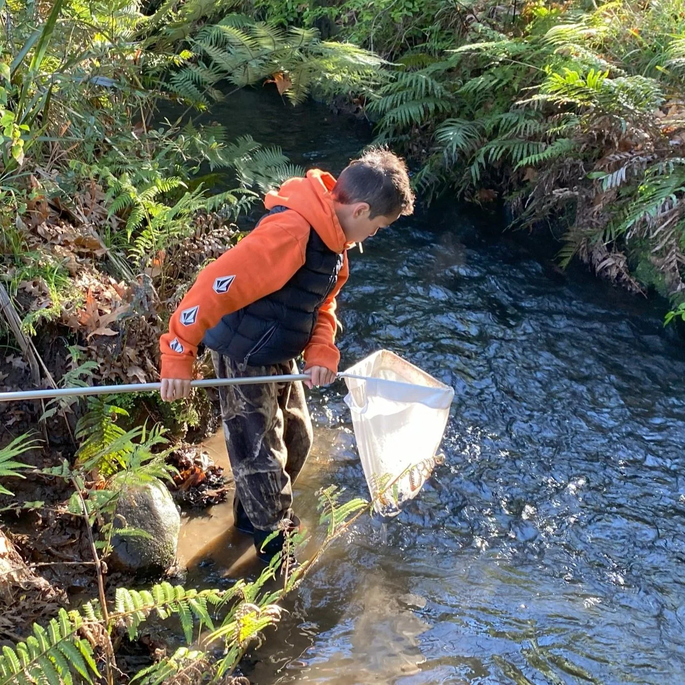 student+stream+exploration+Waikato.jpg