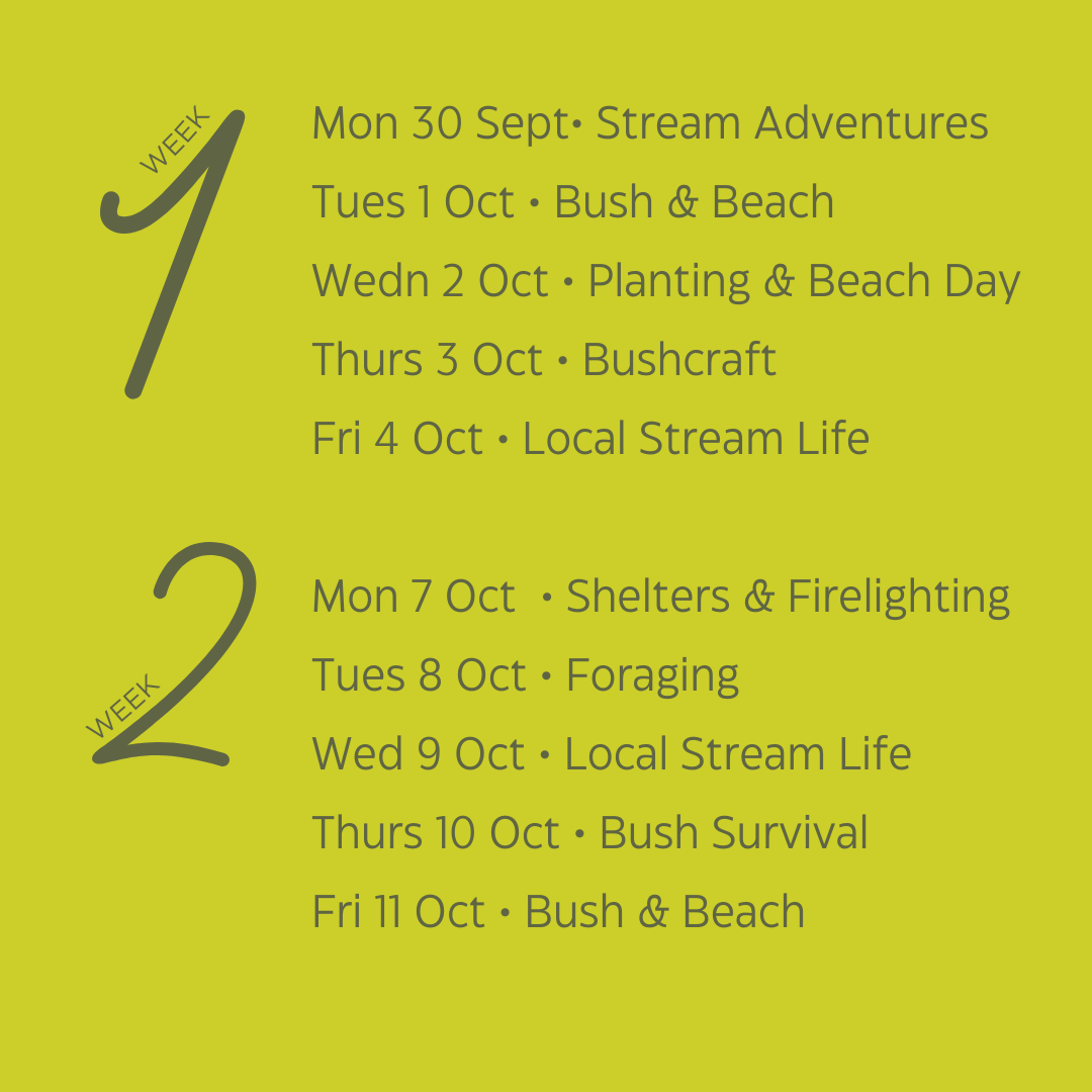 Karioi Holidays (12).png