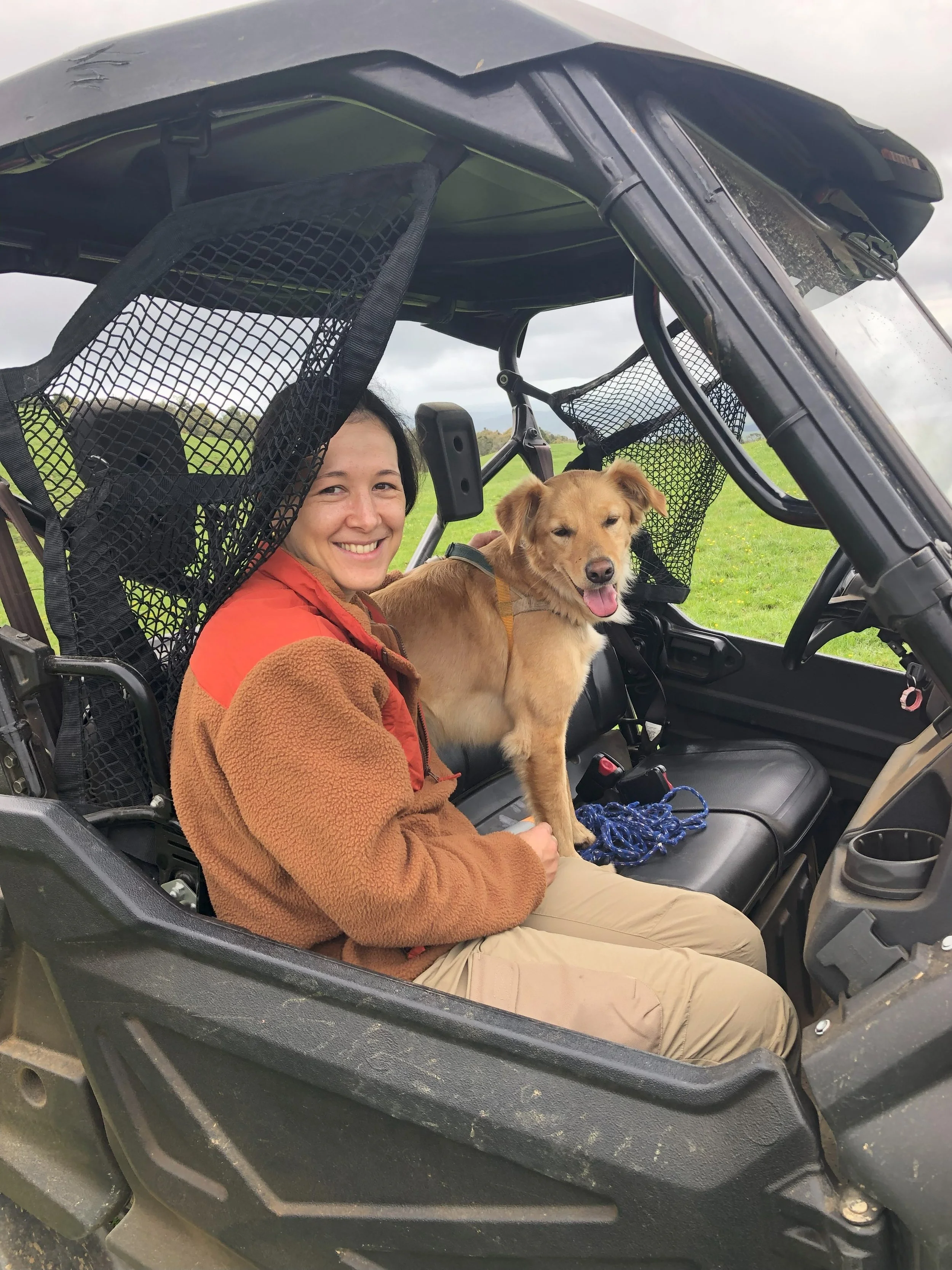 dog in side by side.jpg
