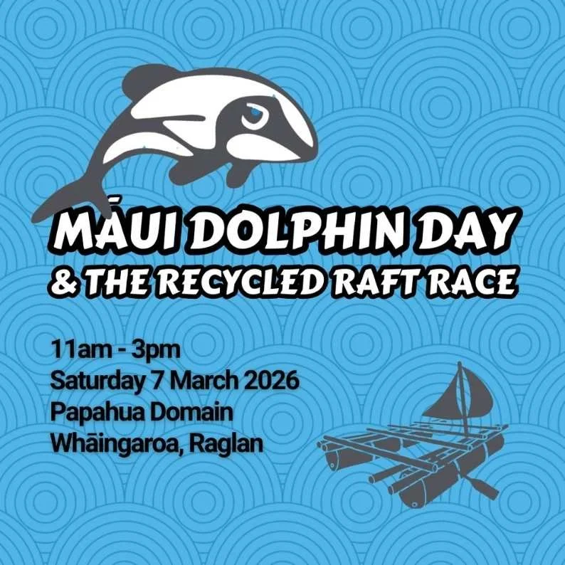 Māui Dolphin Day